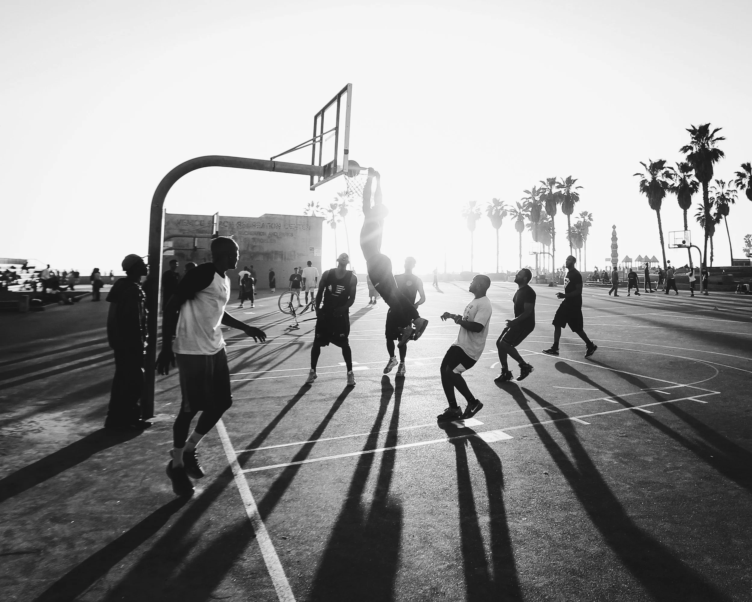 "Venice Beach Courts"