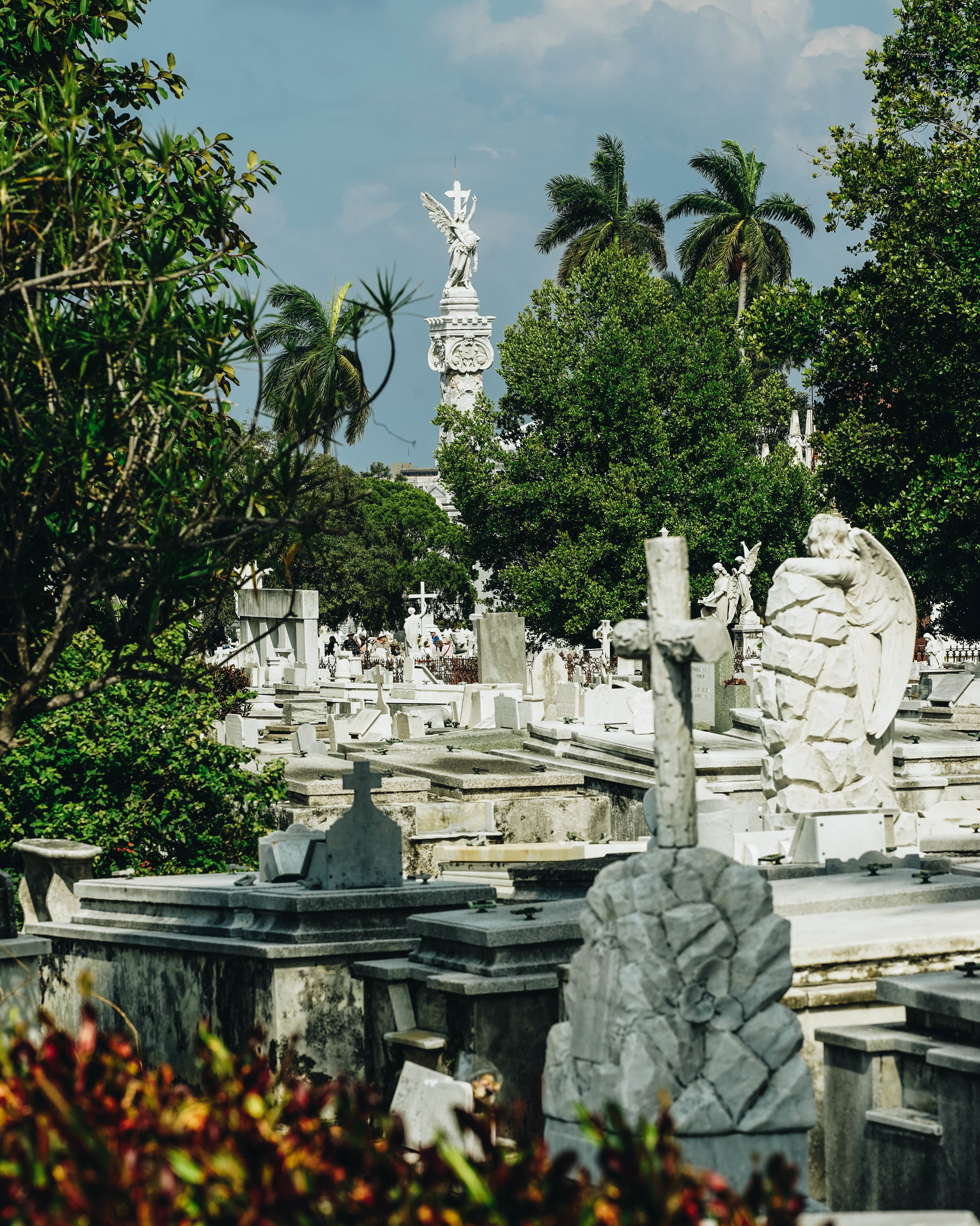 "Necrópolis Cristóbal Colón"