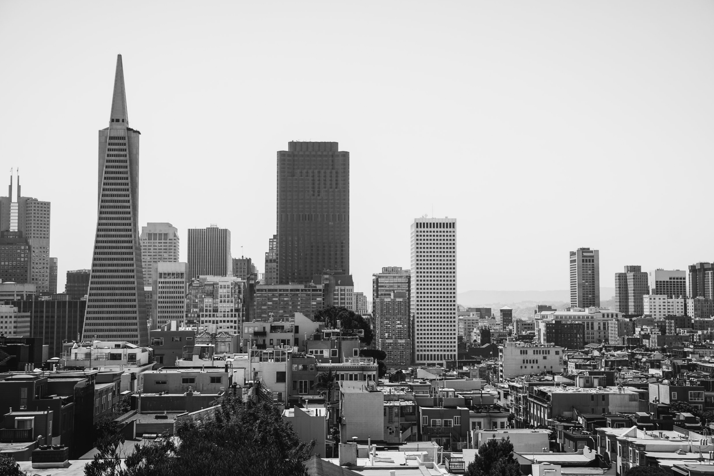 The City by the Bay