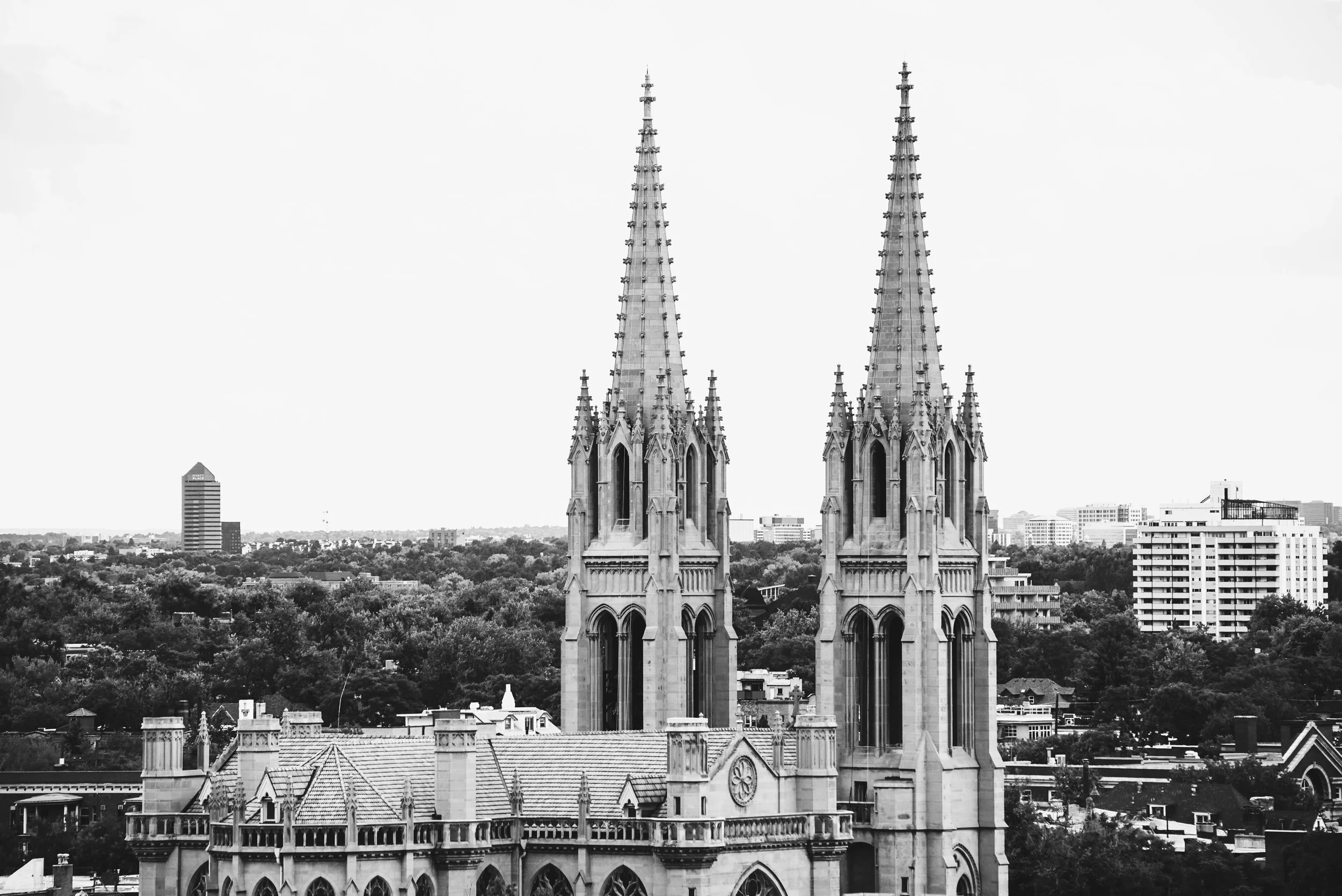 "Cathedral Basilica of the Immaculate Conception"