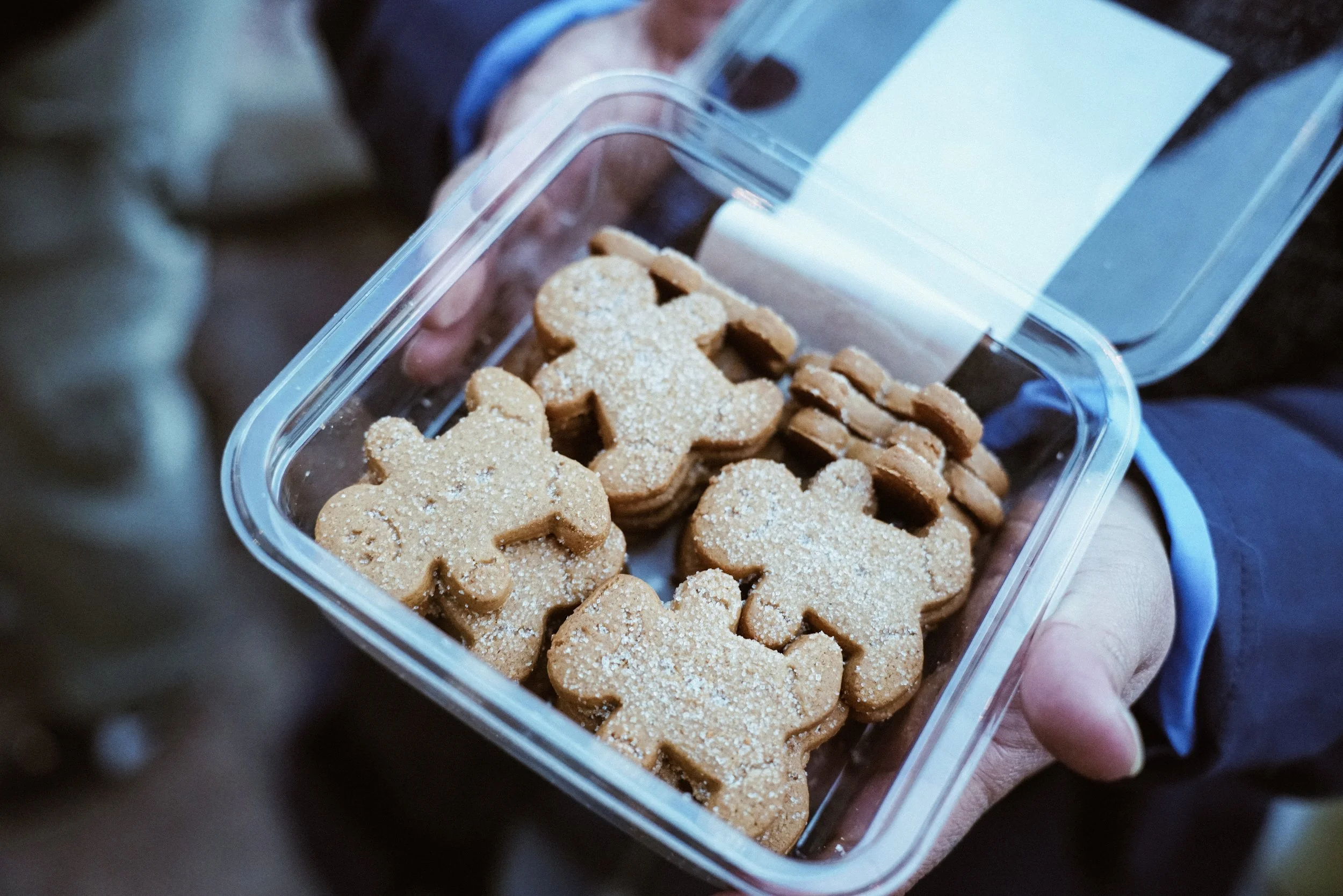 Photo Dec 20 2025, 5 39 28 PM.jpg