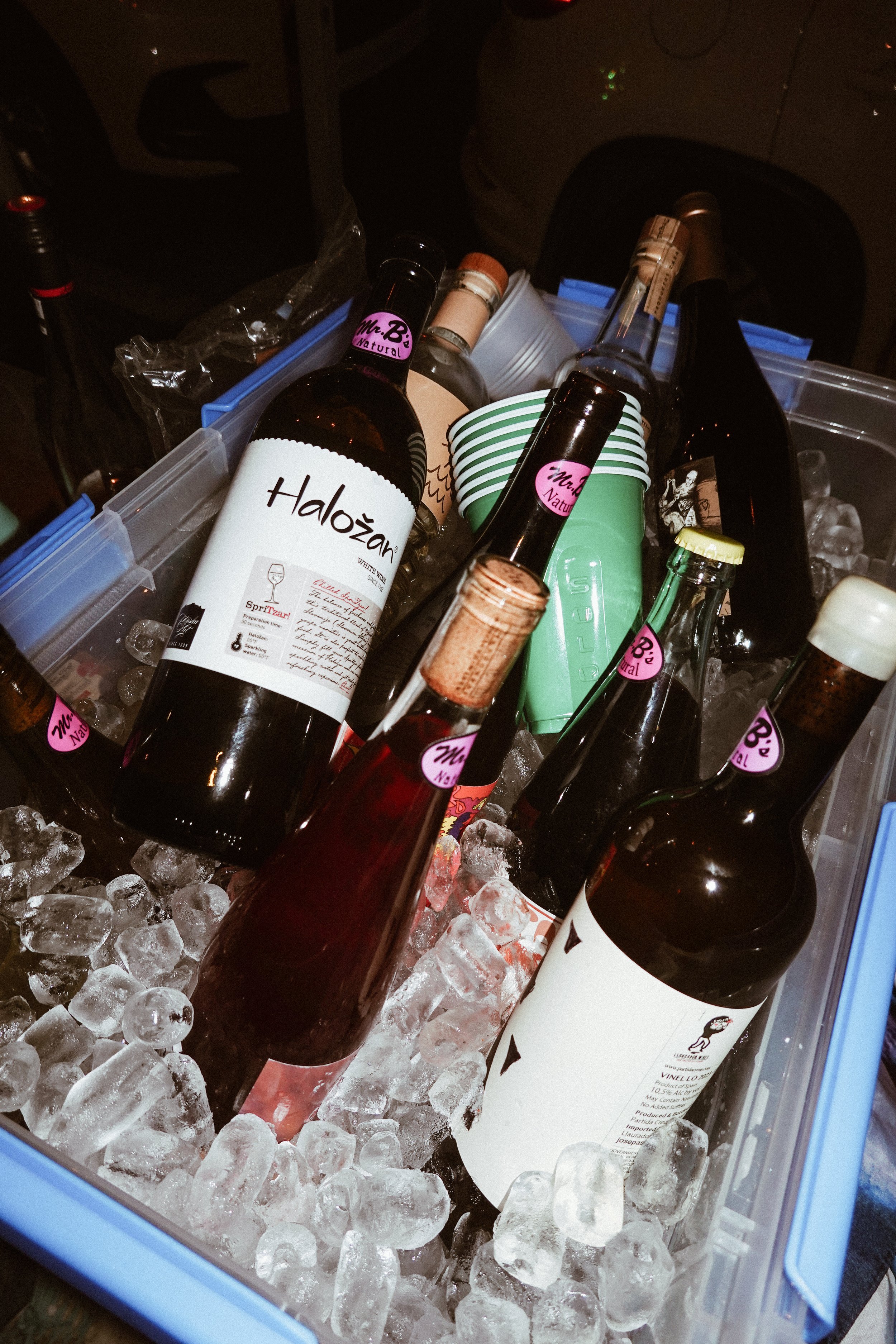 Photo Dec 20 2025, 5 18 15 PM.jpg