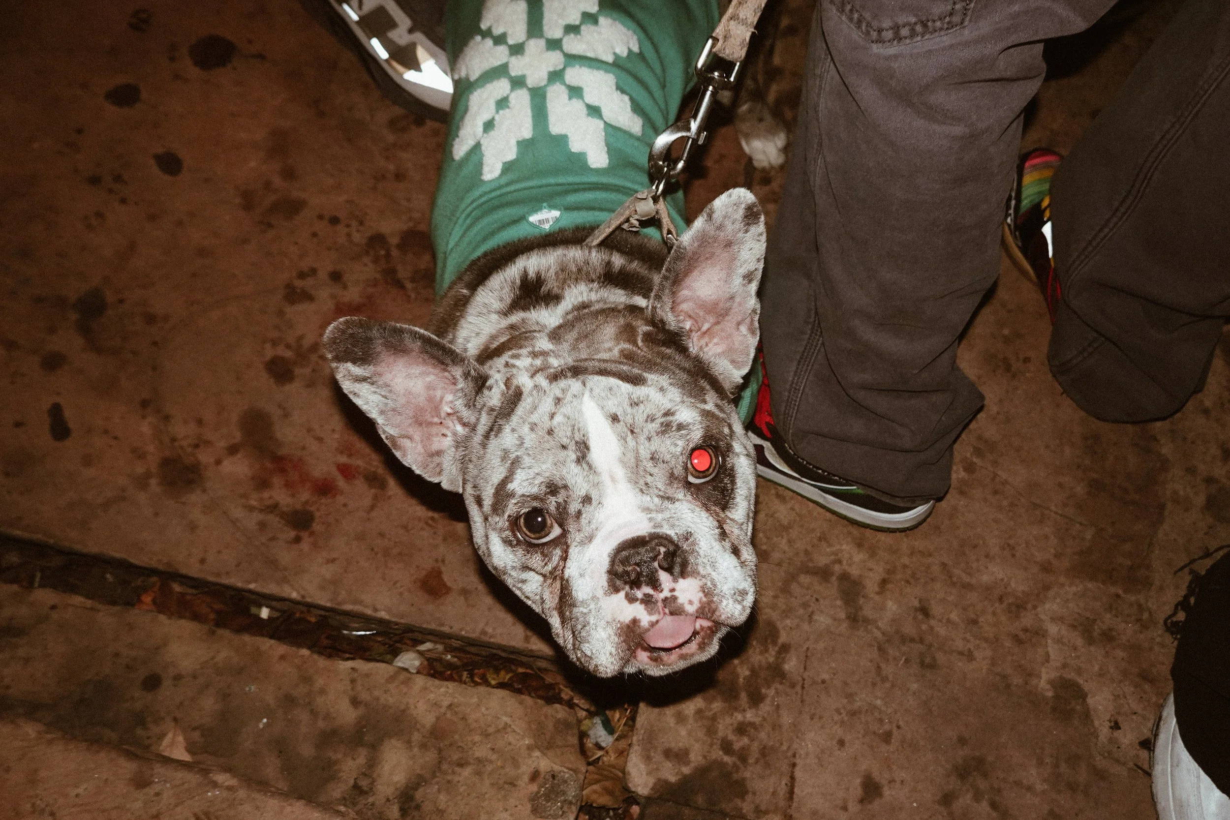 Photo Dec 20 2025, 6 30 52 PM.jpg