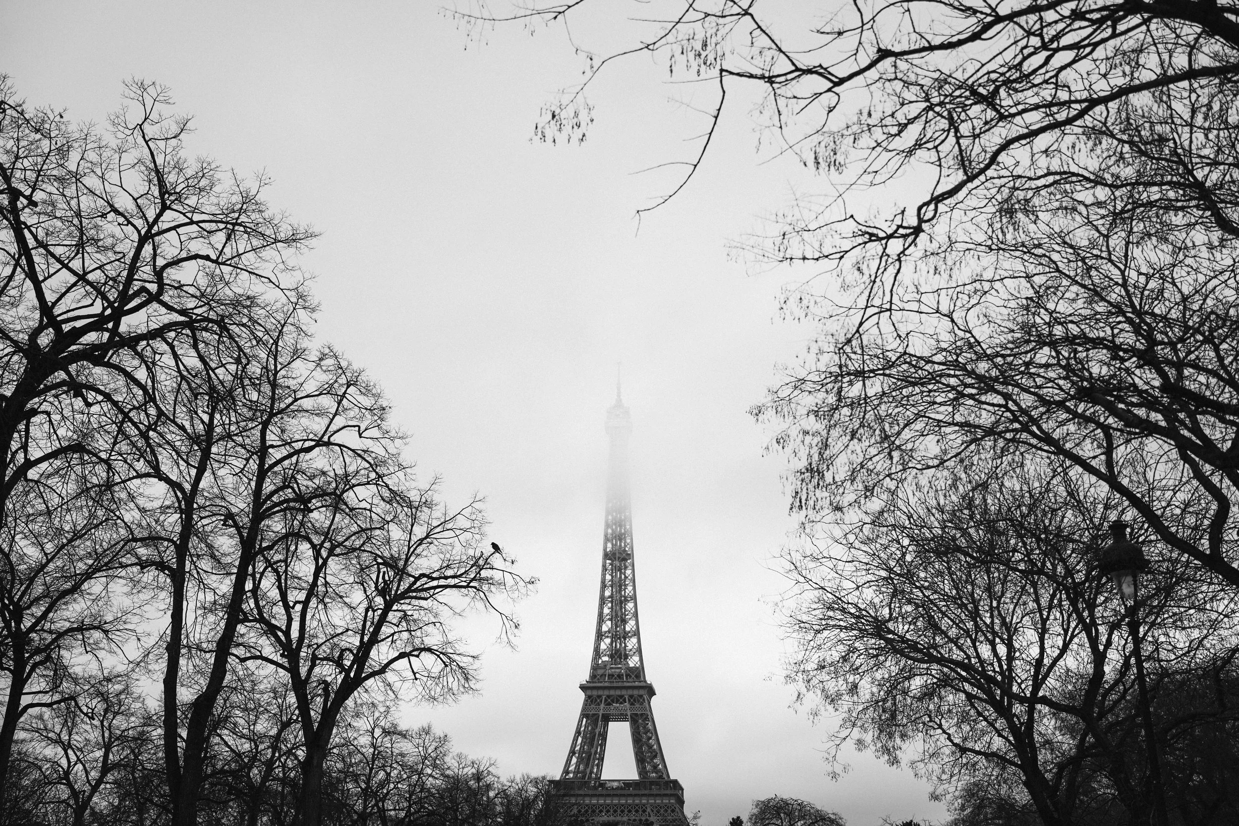 Photo Jan 31 2026, 2 23 27 AM.jpg