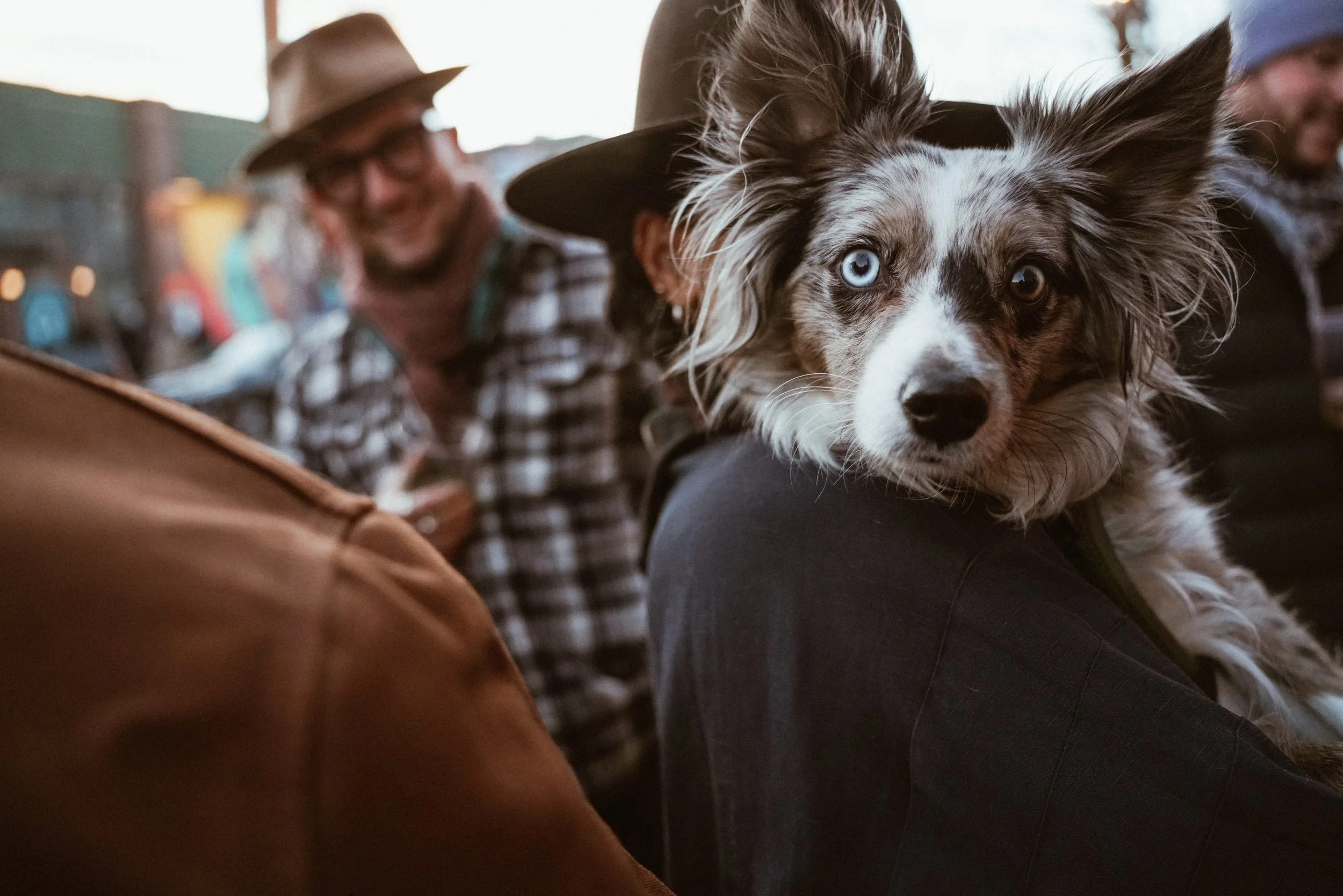 Photo Feb 21 2026, 6 42 18 PM.jpg