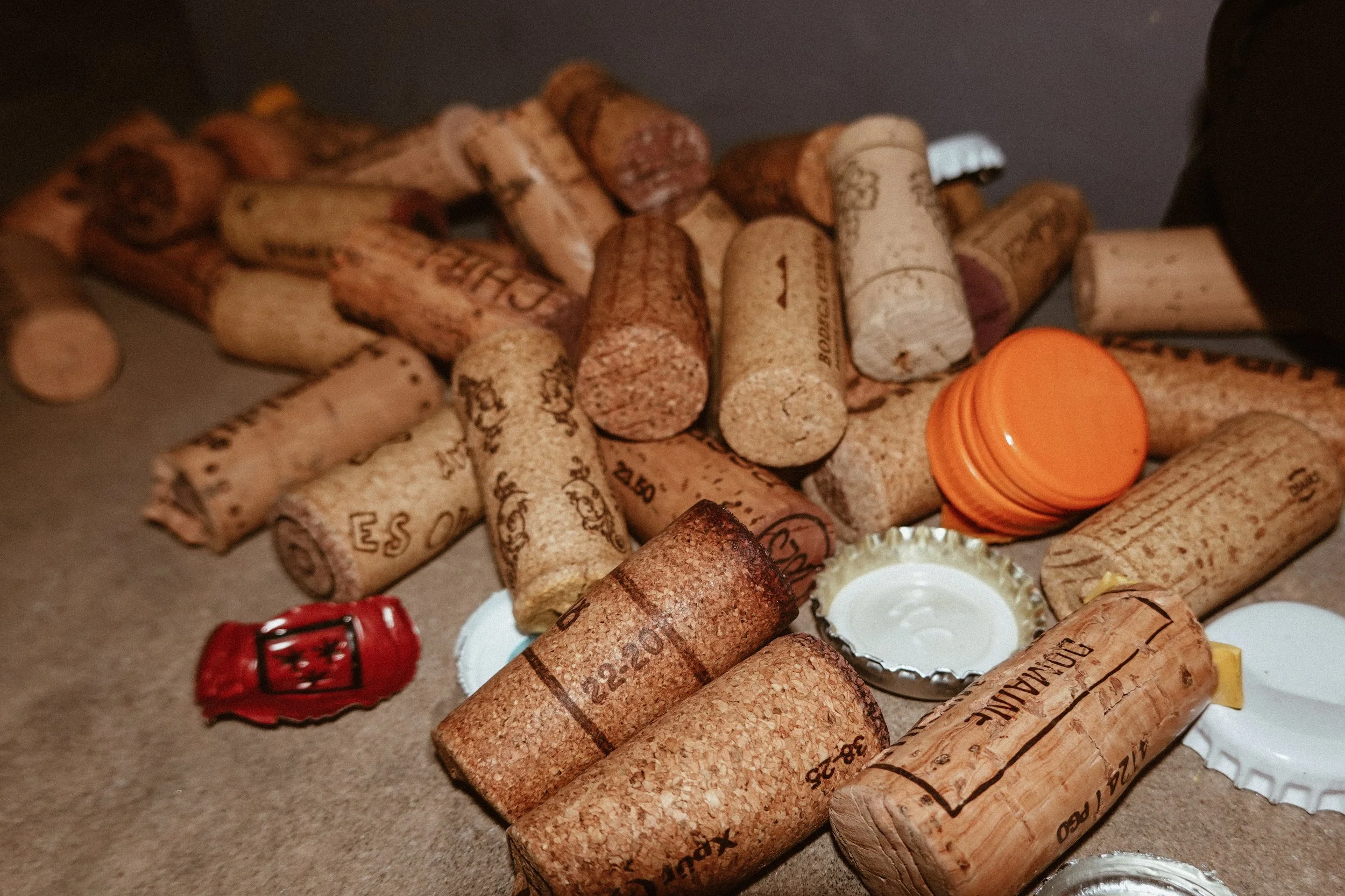 Photo Feb 21 2026, 7 39 14 PM.jpg