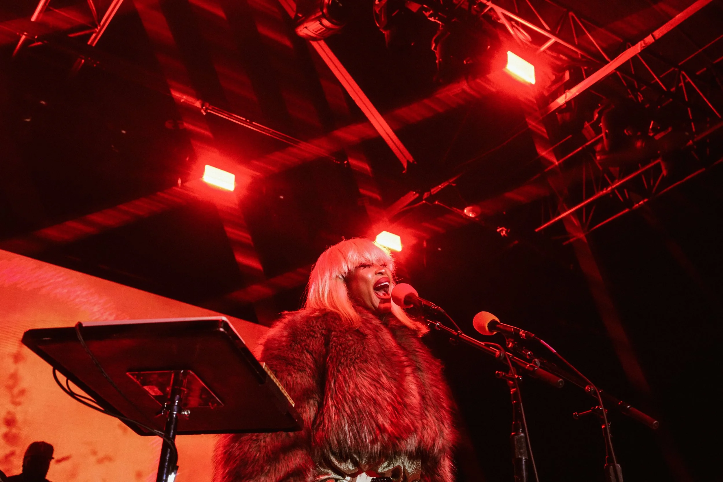 Badu and Alc-17.jpg