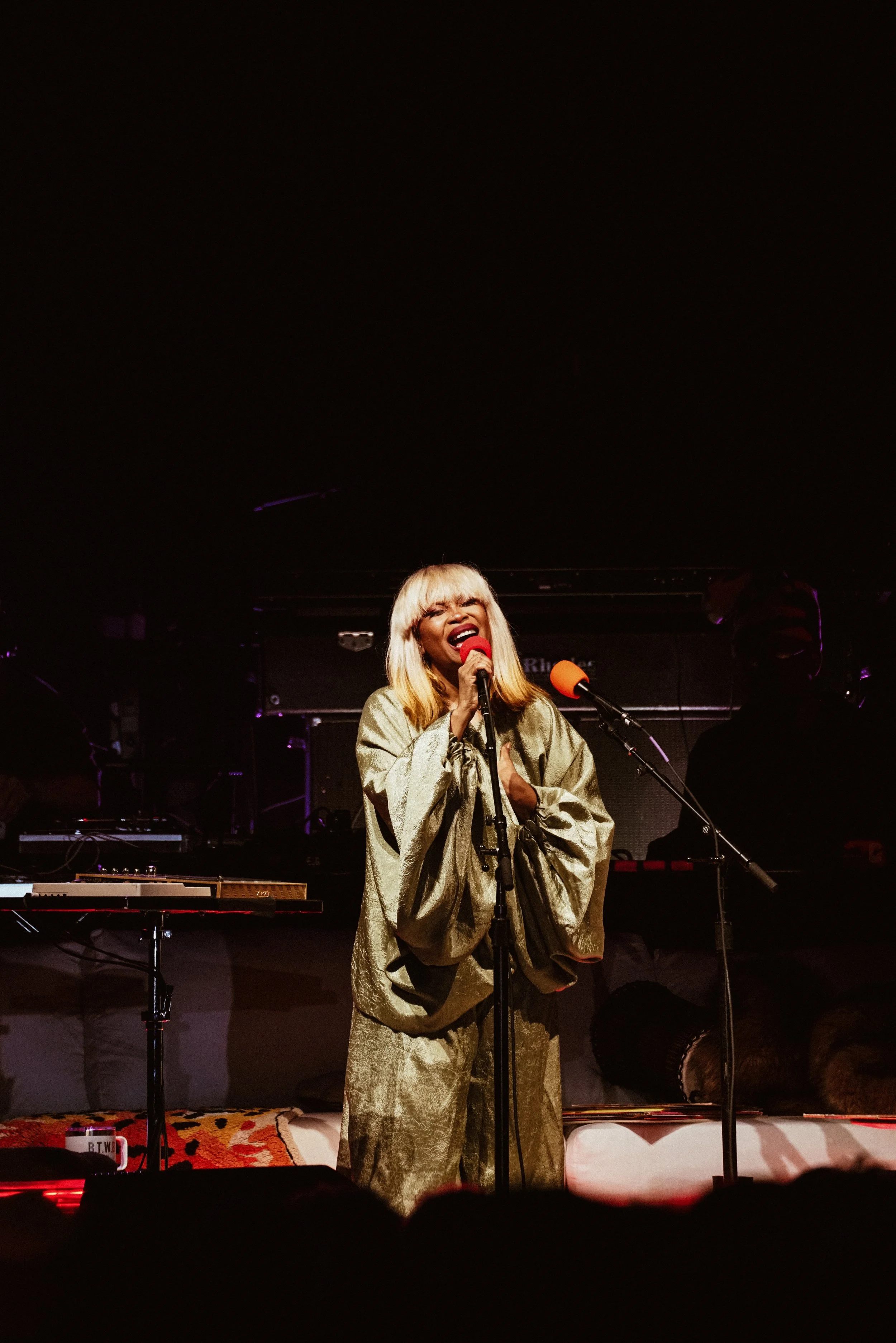 Badu and Alc-39.jpg