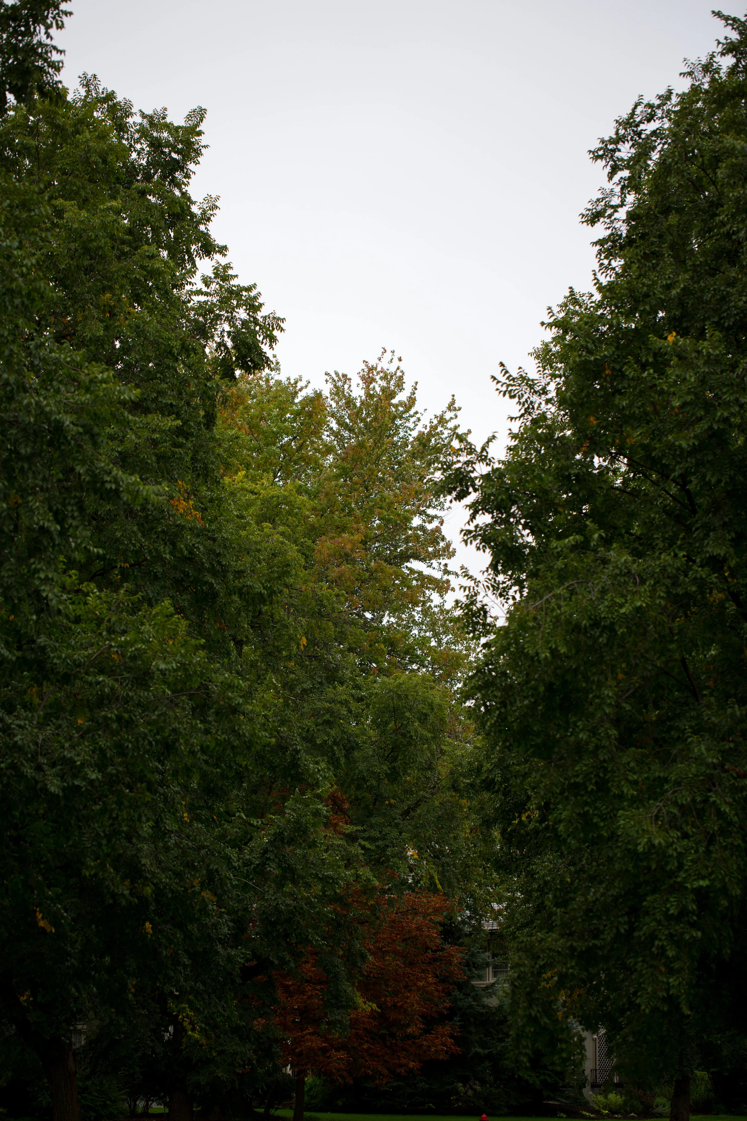 AKZPhotography14918.jpg