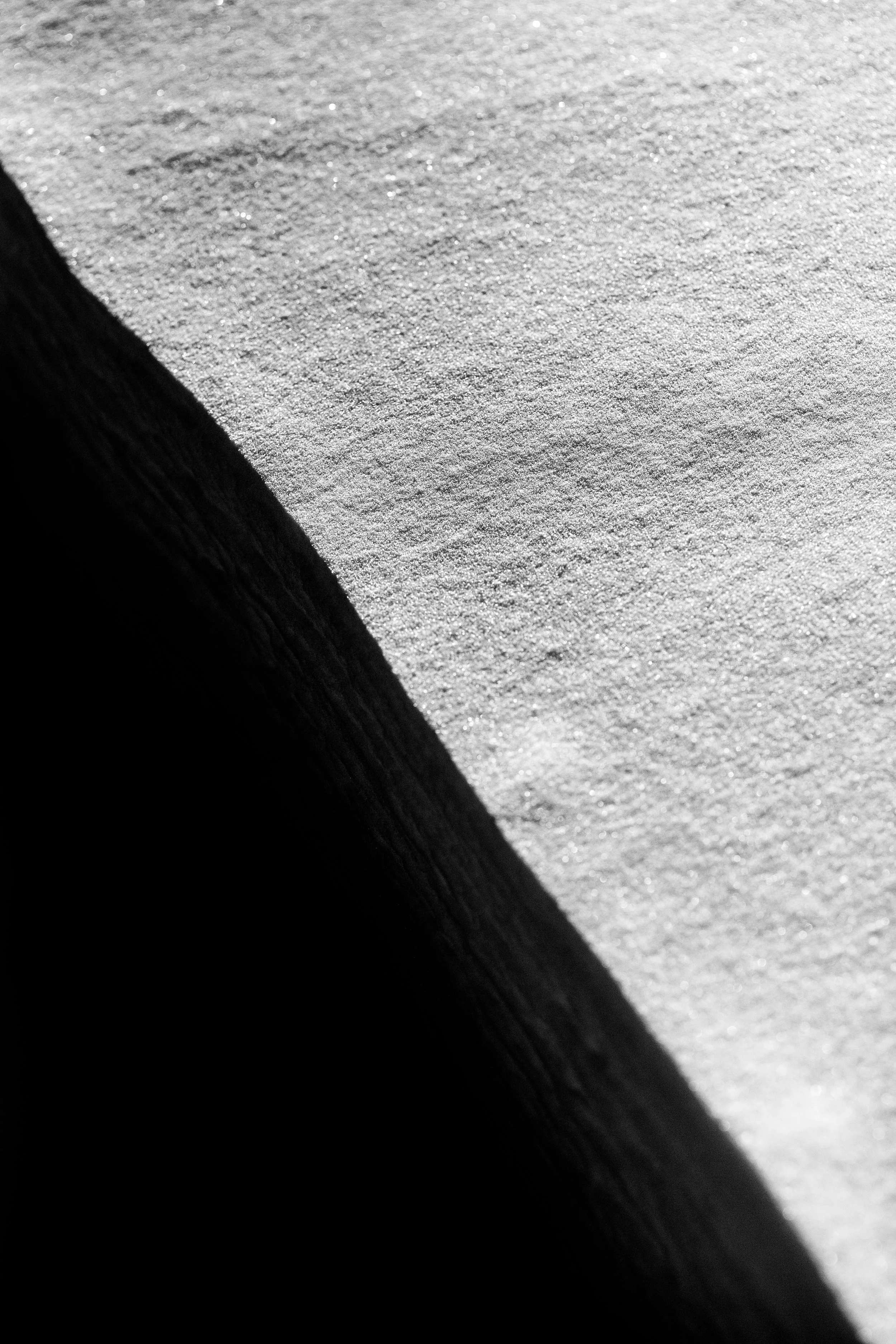 AKZPhotography600719.jpg