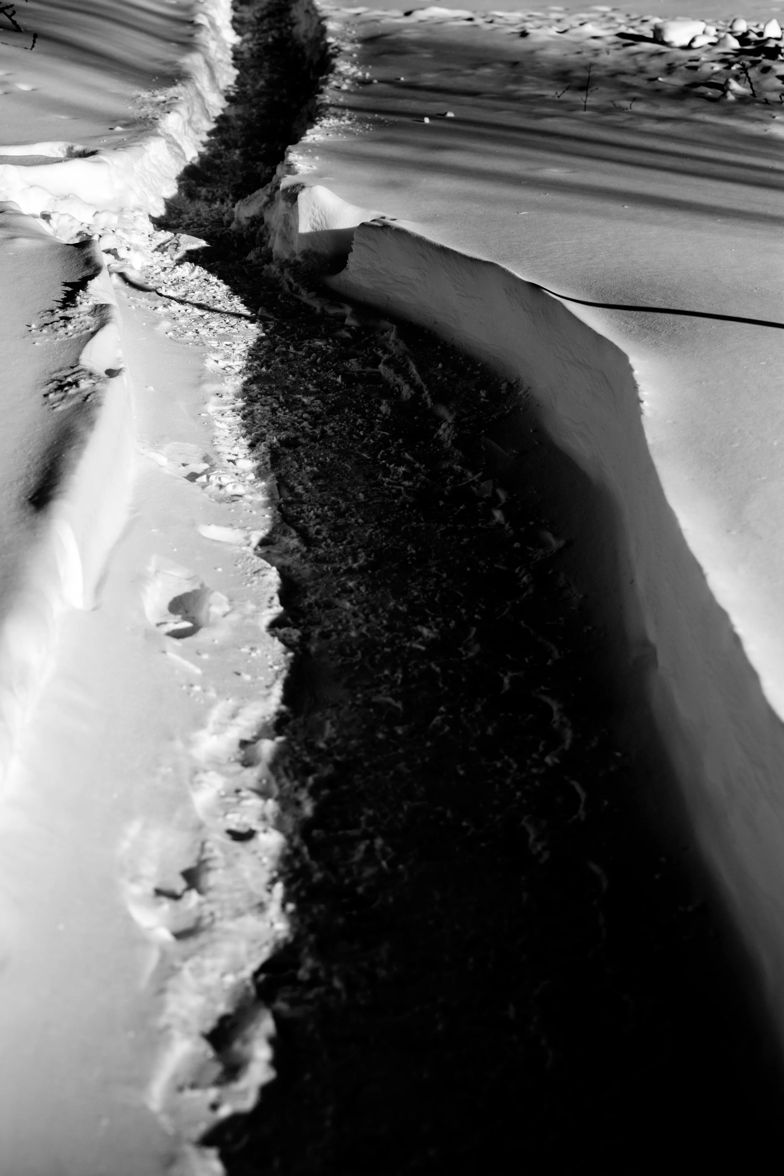 AKZPhotography601819.jpg