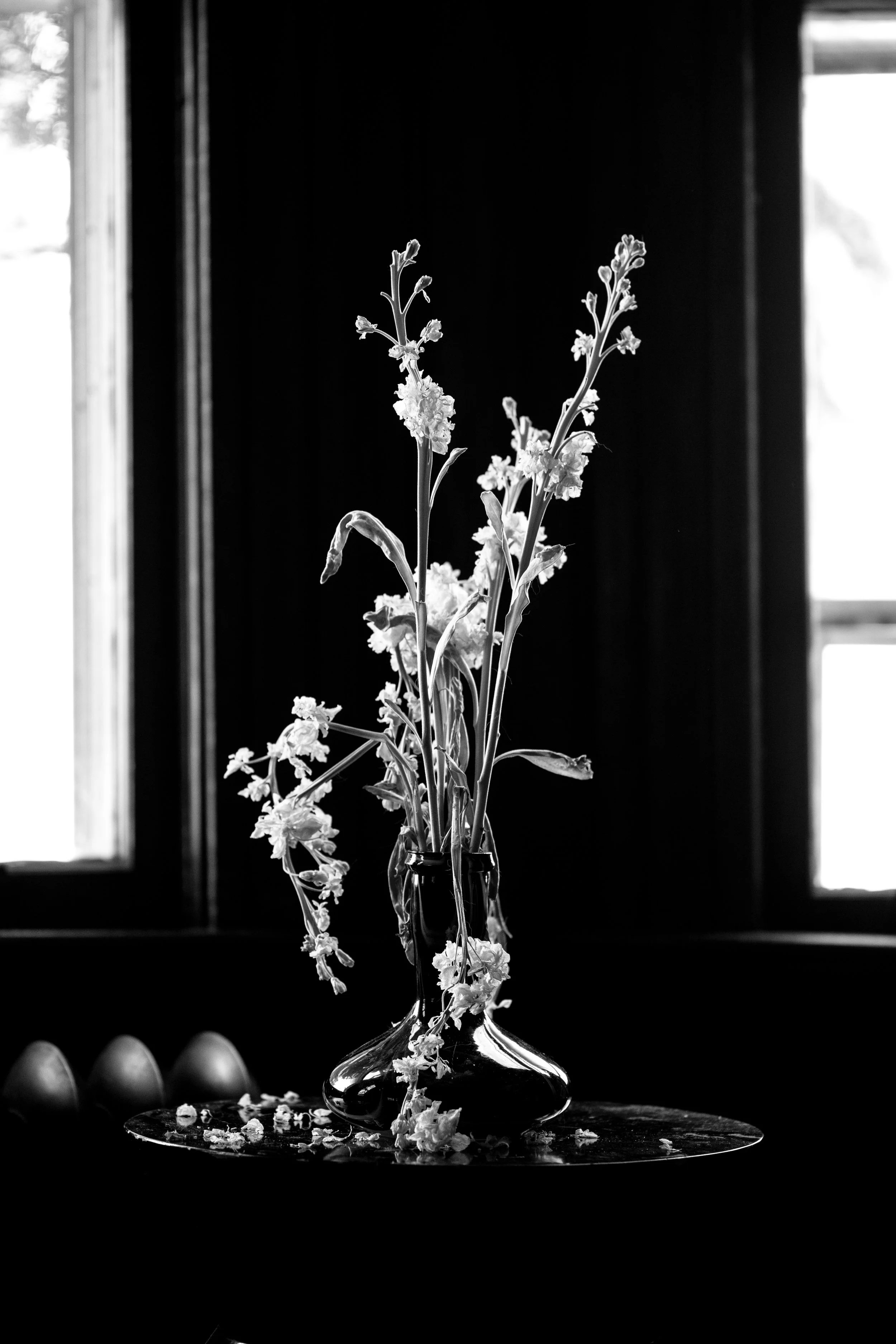 AKZPhotography10919.jpg
