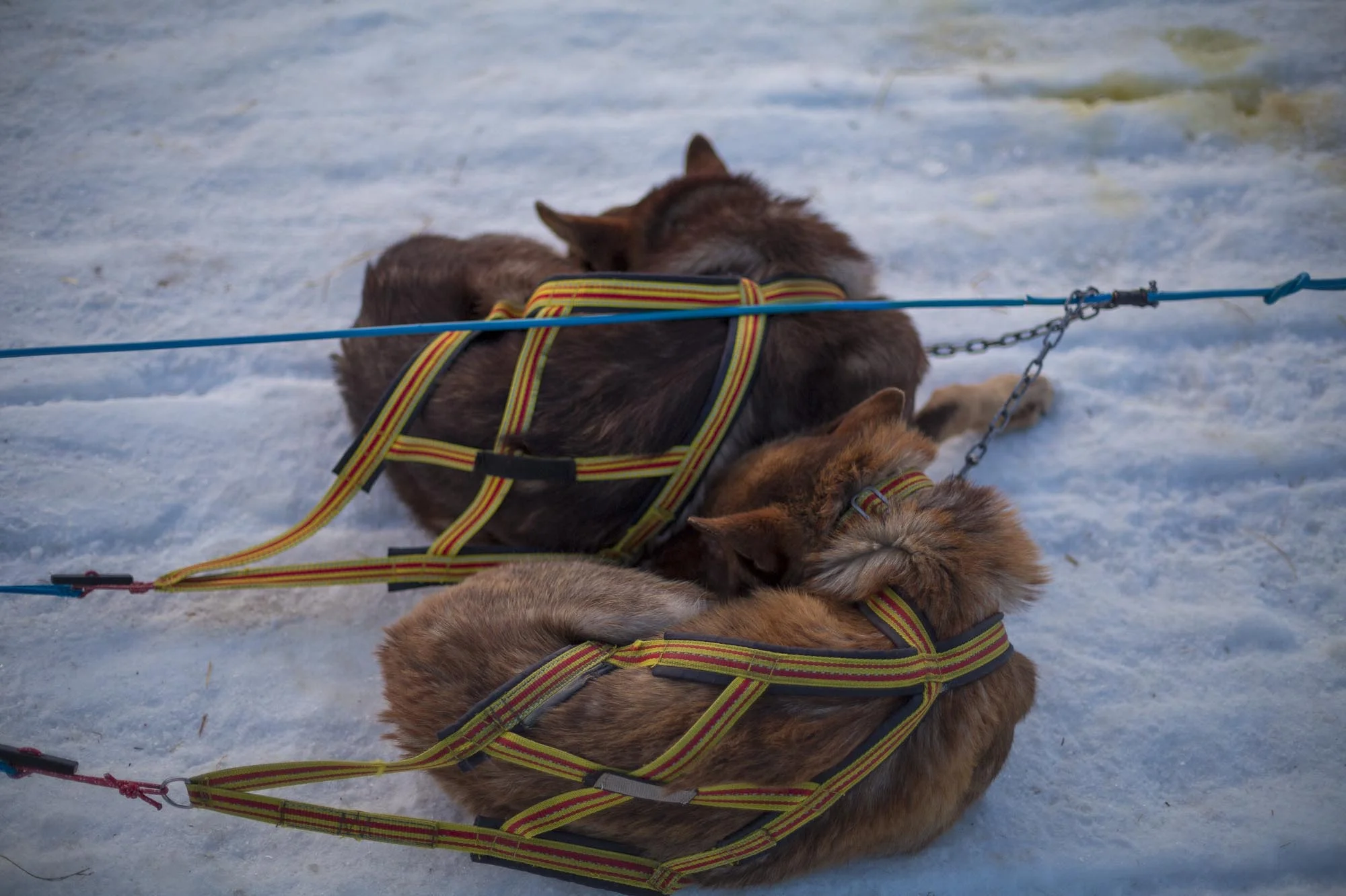 Travel_4428.jpg