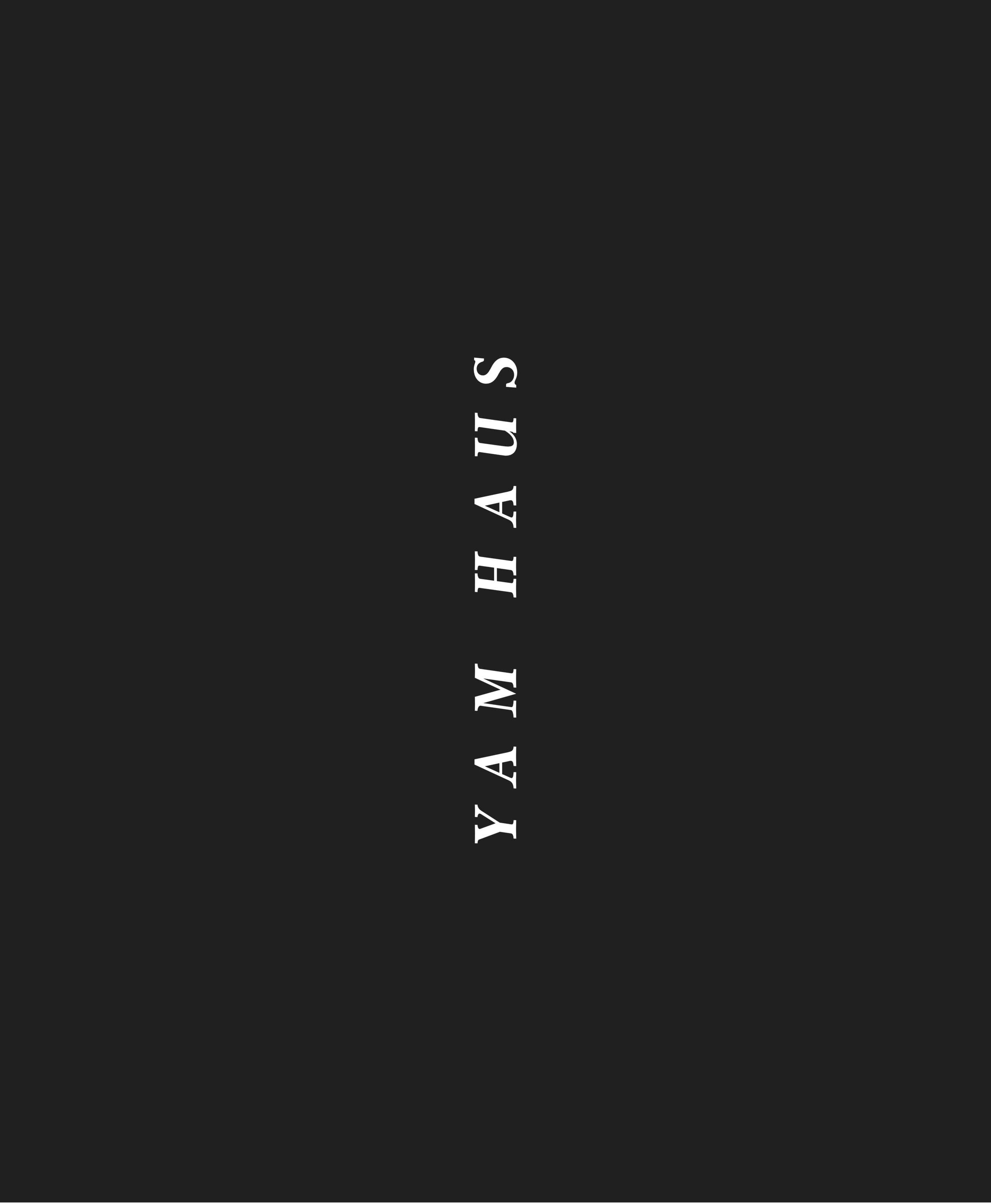 YH Tee 02 3.png