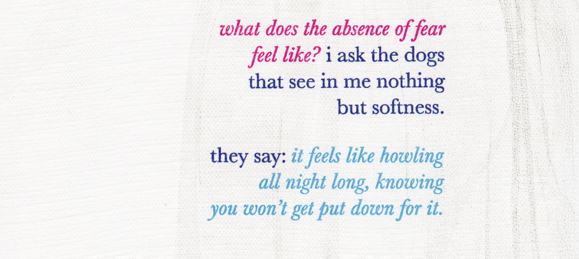 nico wilkinson broadside 2026 detail.png