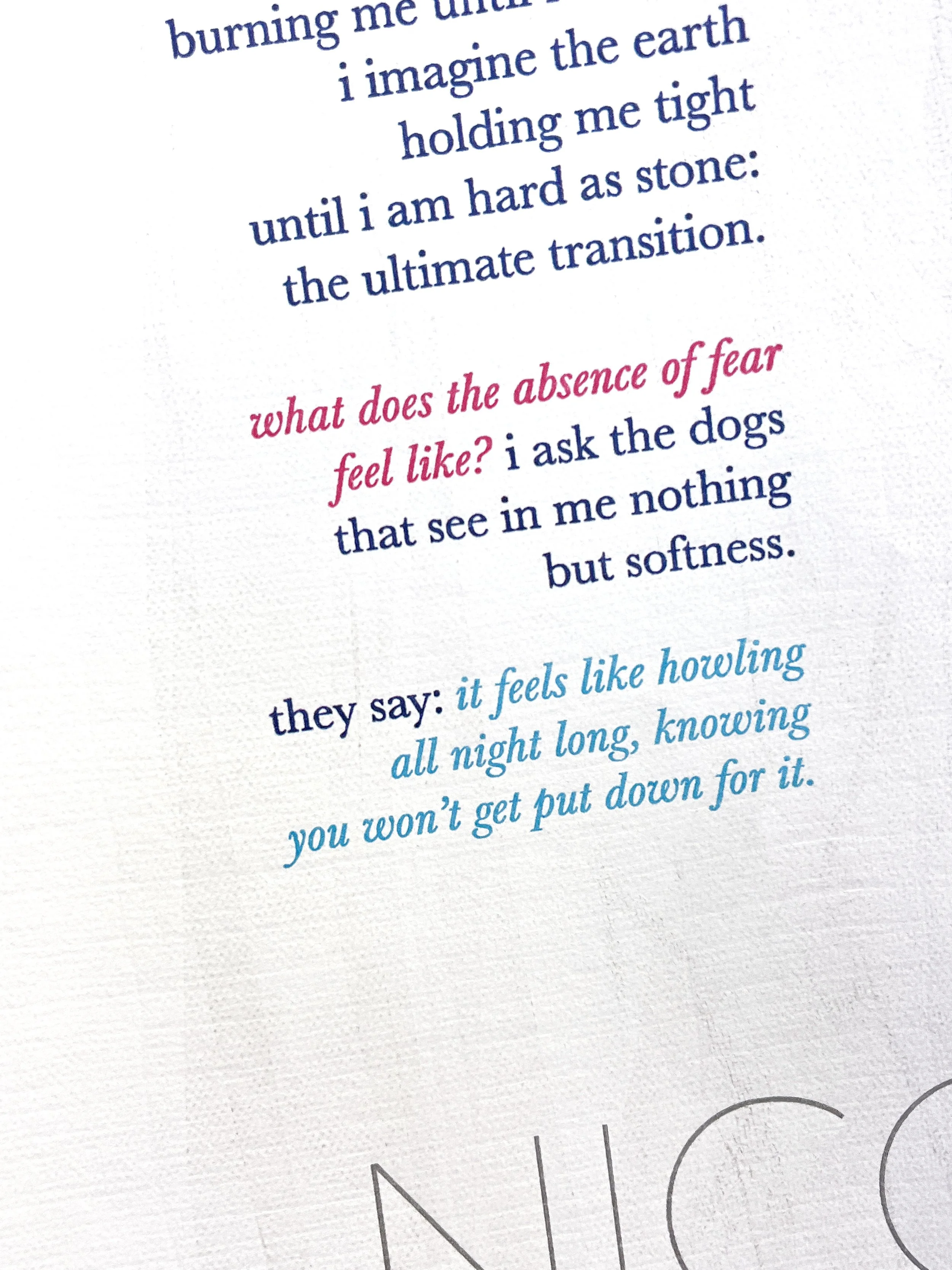 nico broadside detail bright.jpg