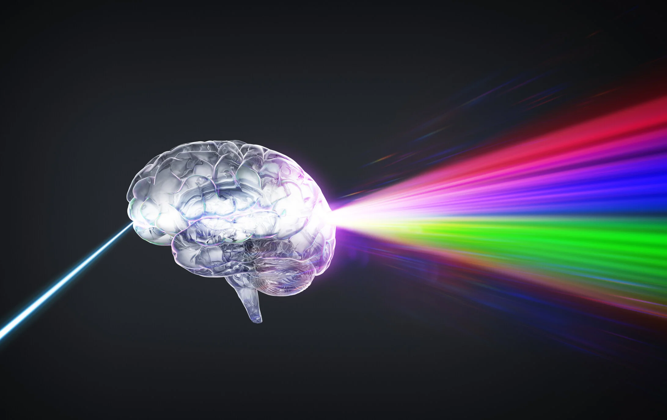 Spectrums of the Breath: Change Your Breath, Change Your Life