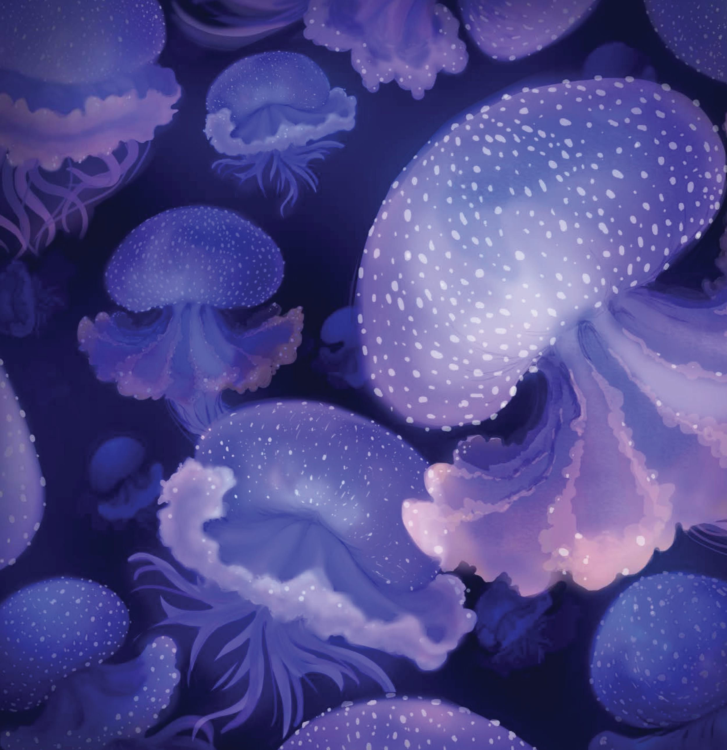 jellies test.png