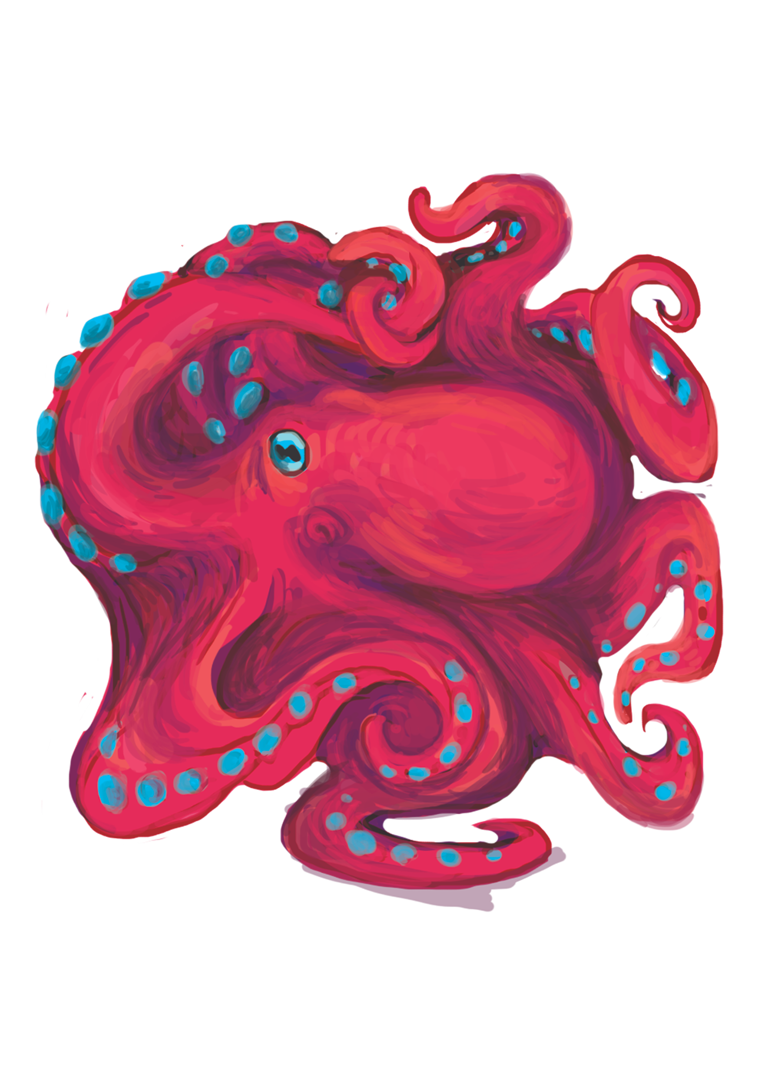 octopus test.png