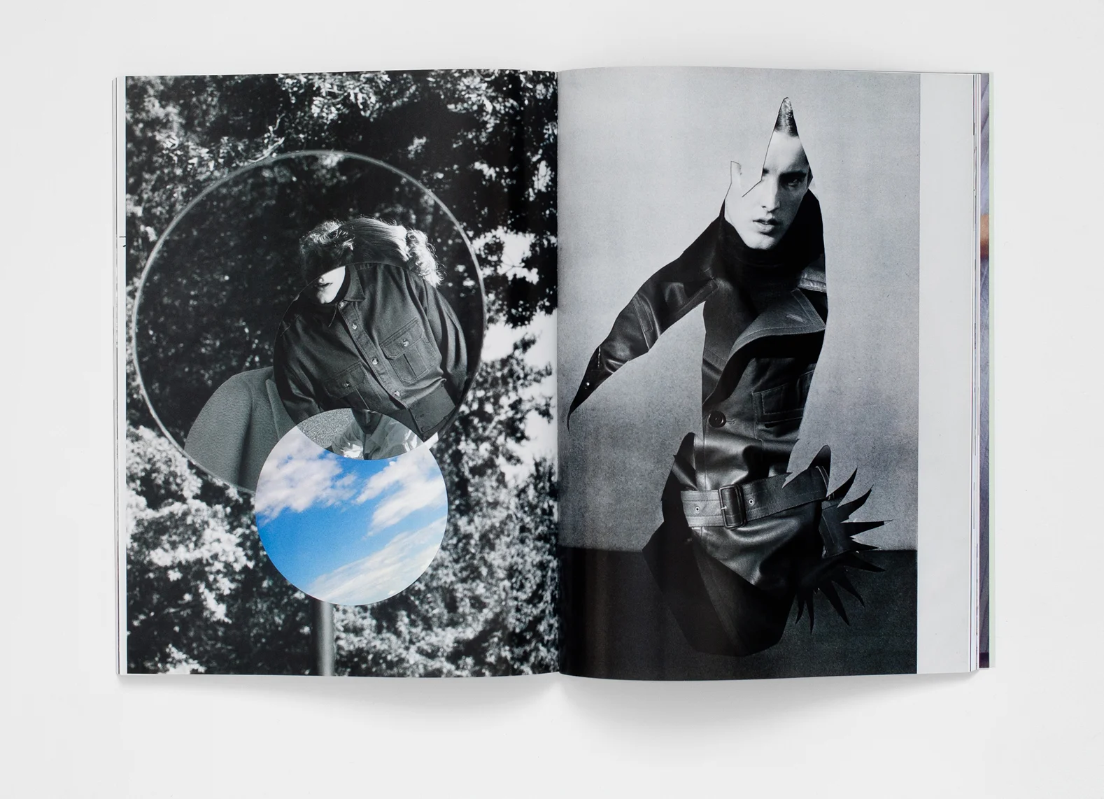 Surface Magazine