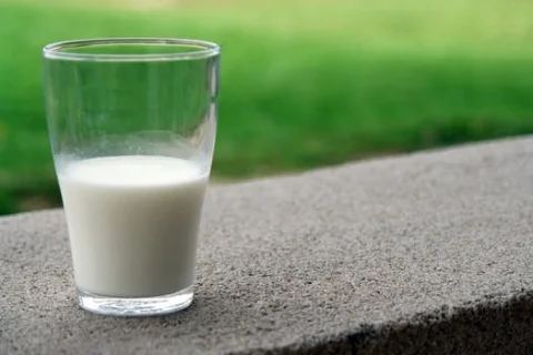 To Dairy or not to dairy?!