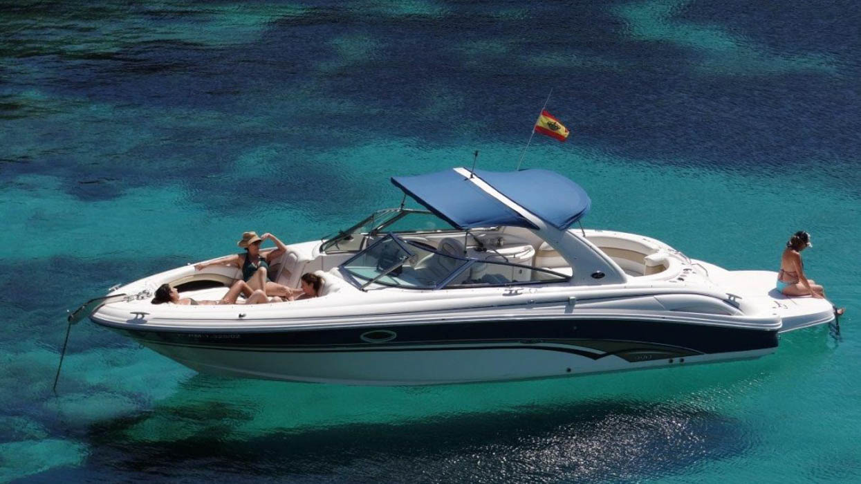 Sea_Ray_290_1.jpg