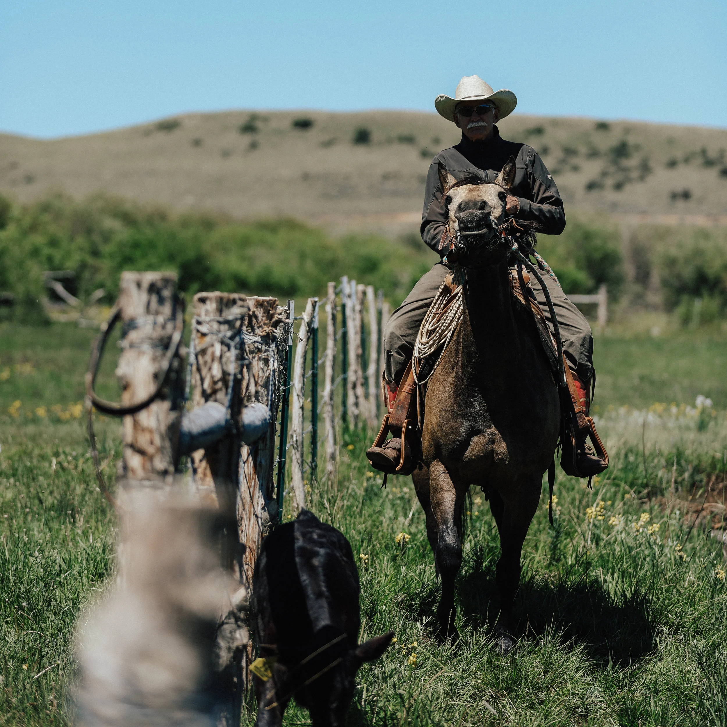 Lonetree Ranch