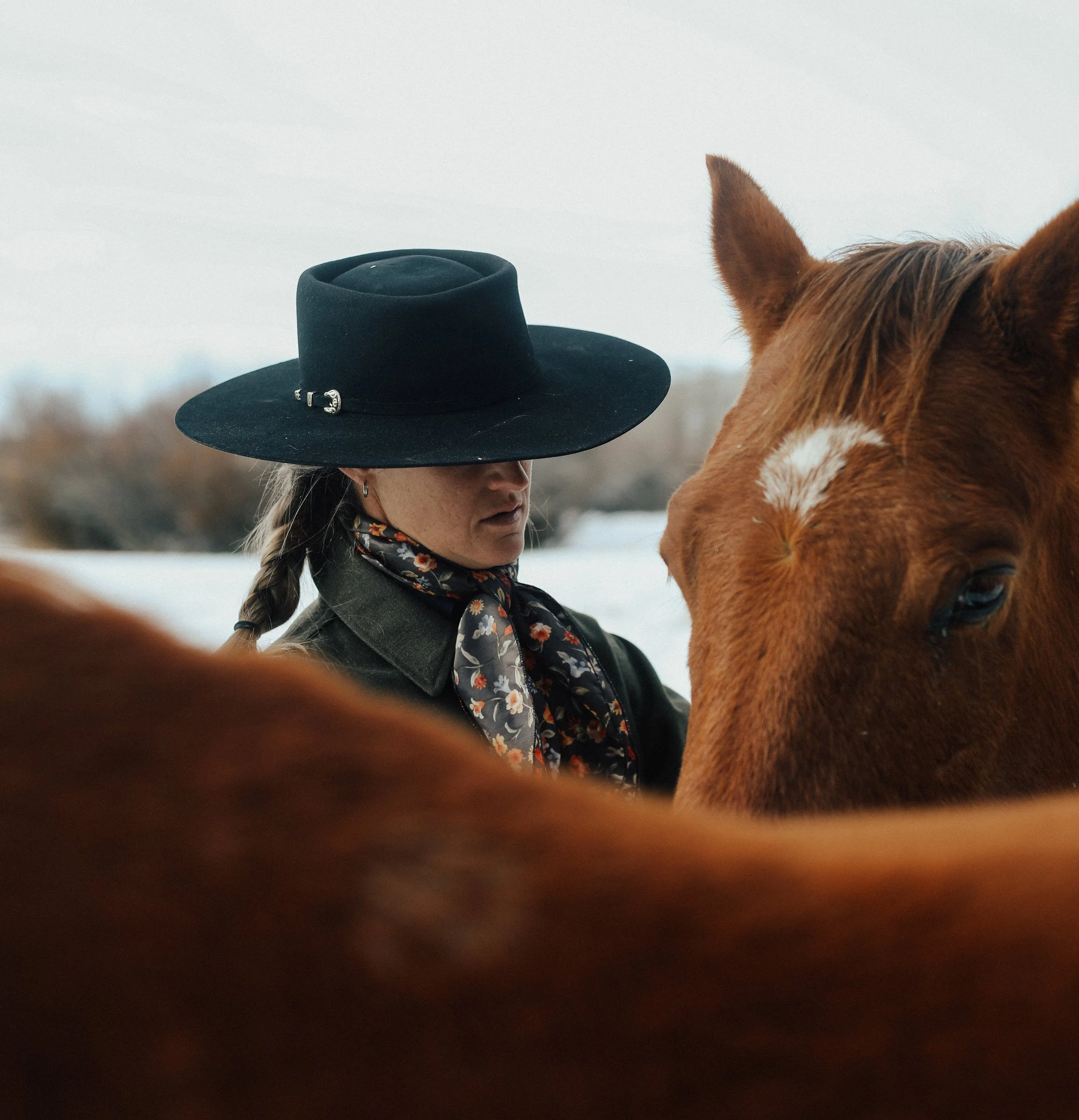 Contact — Lonetree Ranch