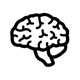 brain.jpeg
