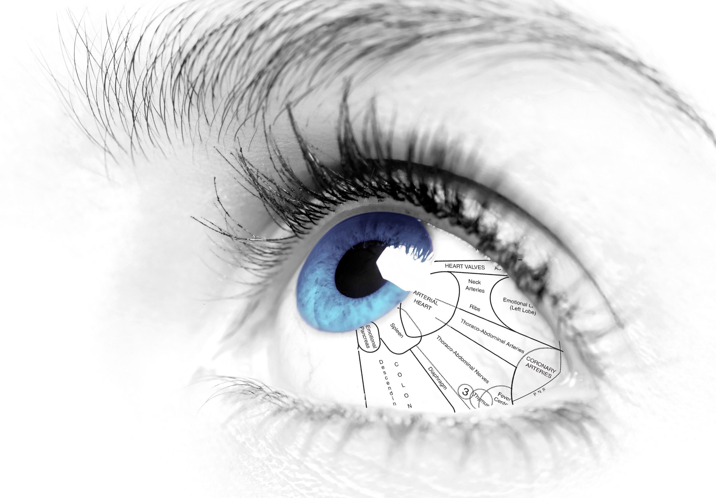 Sclerology Eye Chart