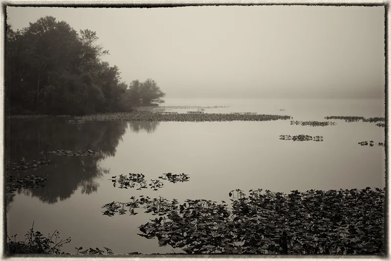 012_2014simonphotographic_copy.jpg