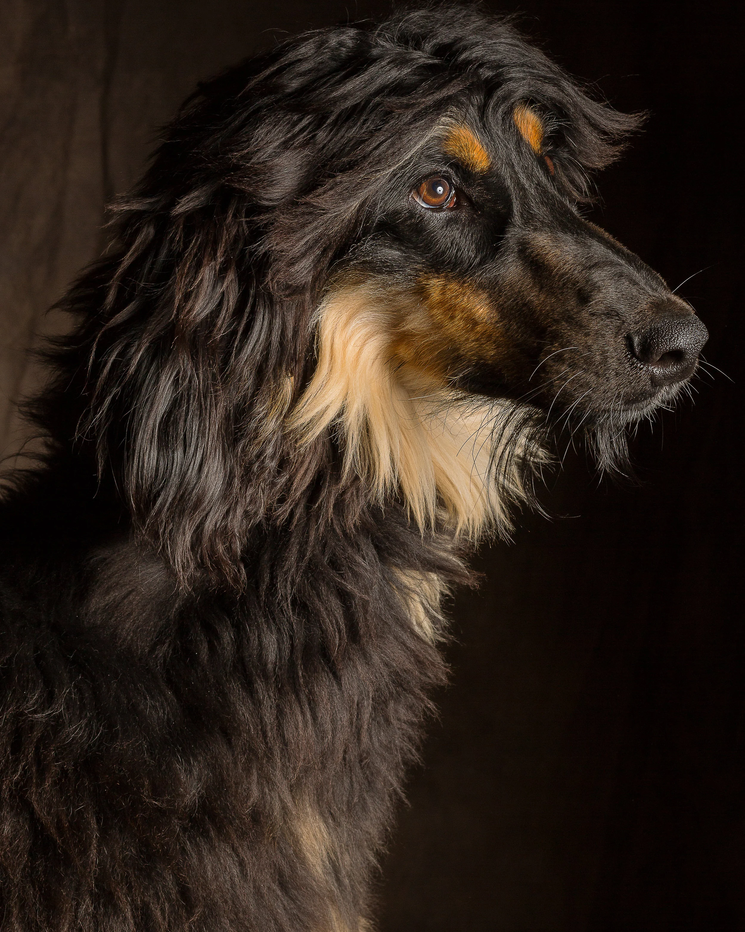 020_©2018simonphotographic.jpg