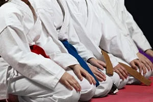 karate-belt-class-300x200.jpg