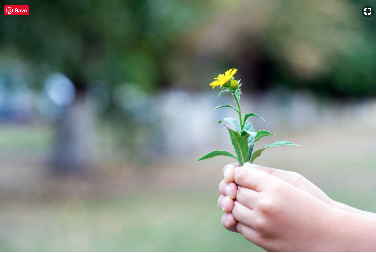 Parents, let's stop talking about tenacity and start talking about character