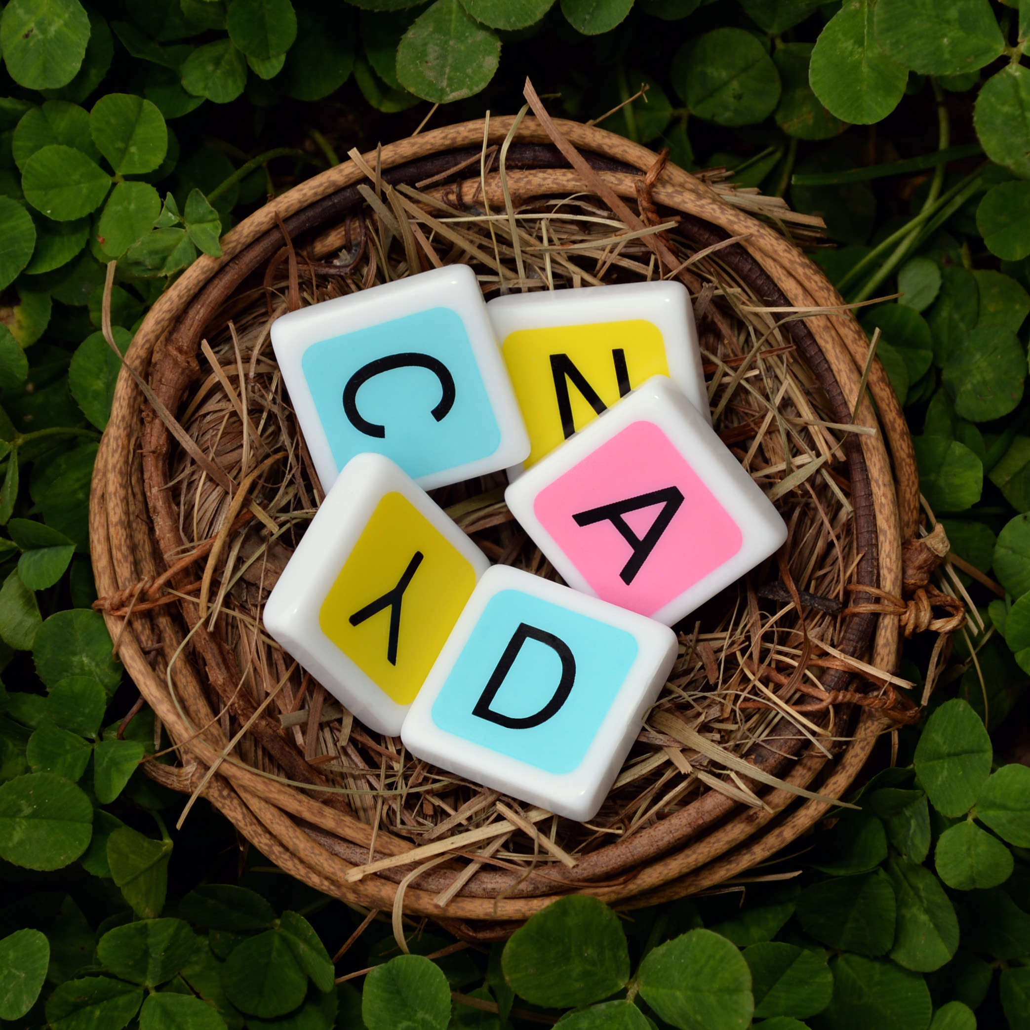 Candygrams’ letter tiles come in three different “candy” colors: pink, yellow, and blue. Word games are more fun in color!