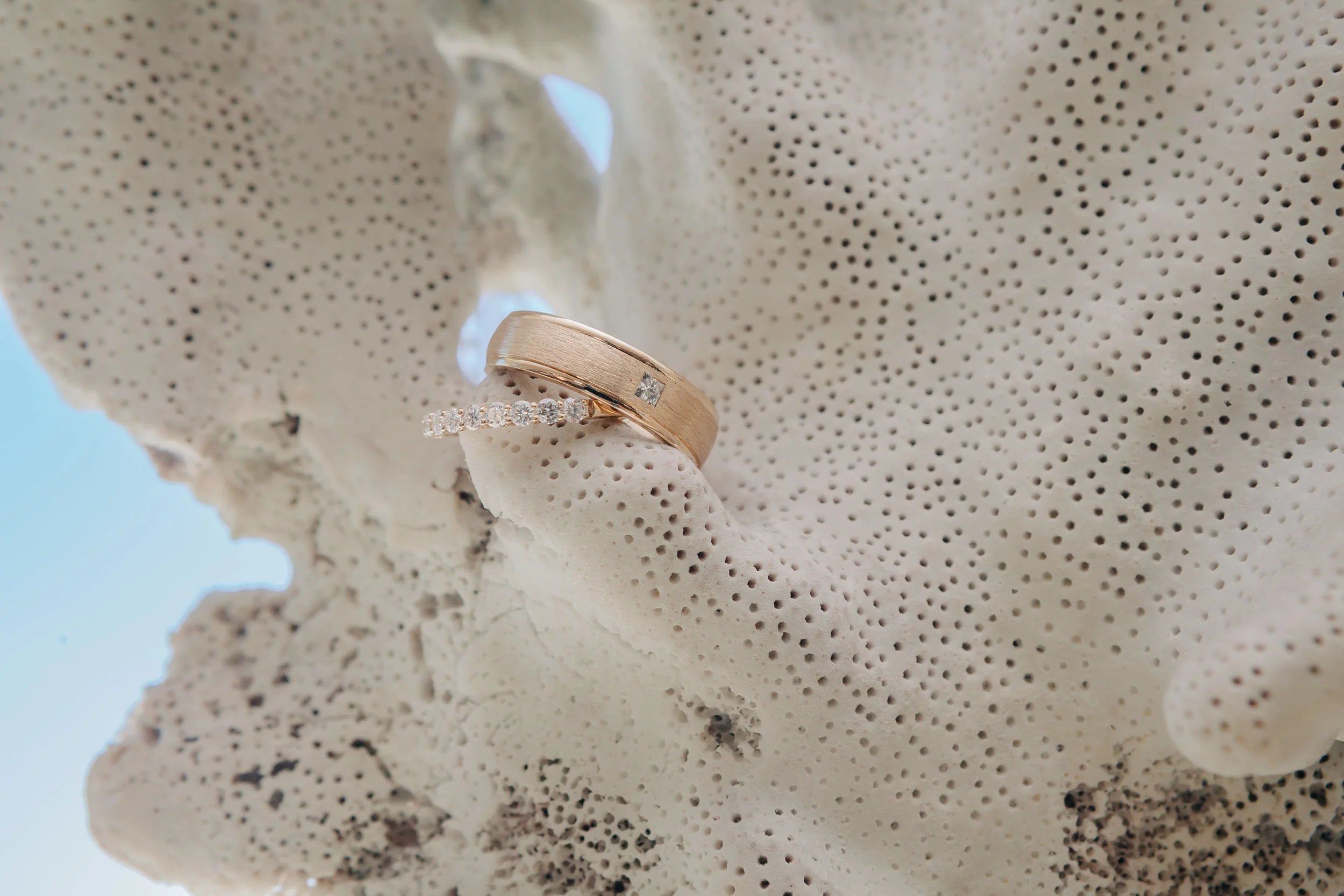 Bodega Bay Beach Wedding