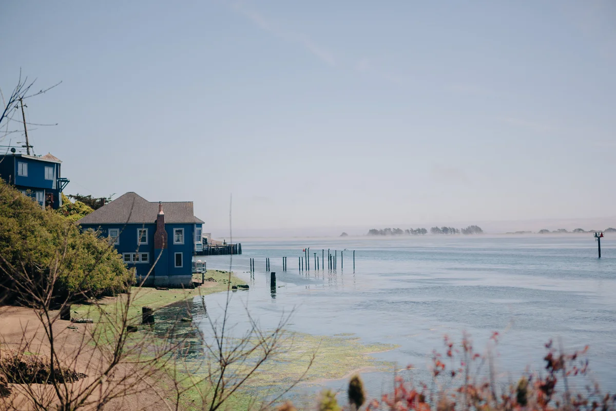 Bodega Bay Beach Wedding