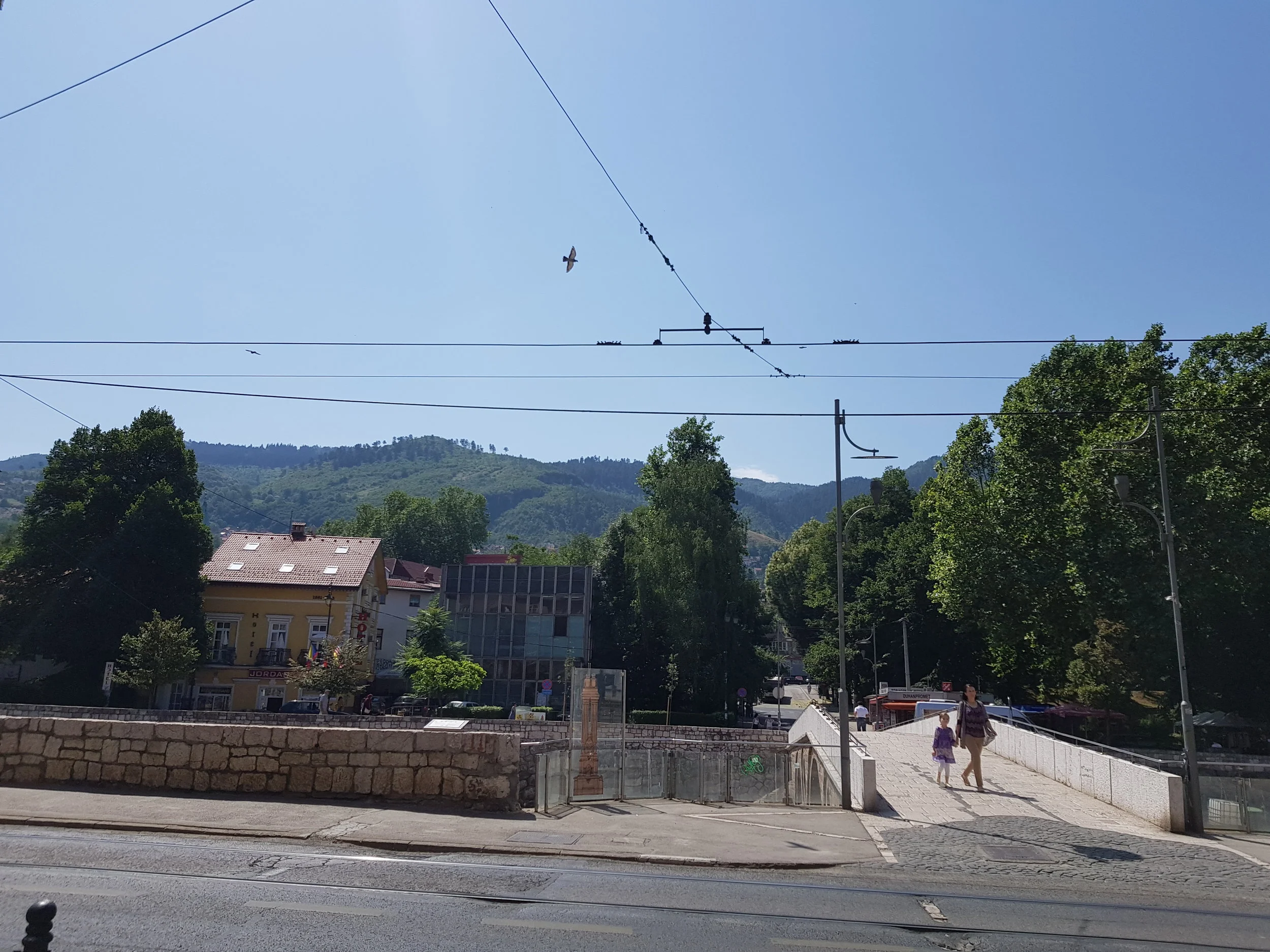 20170723_110437.jpg