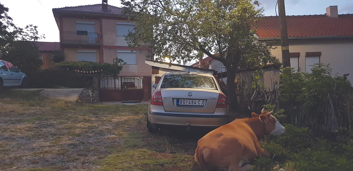 12 Ohridsjon 5.jpg