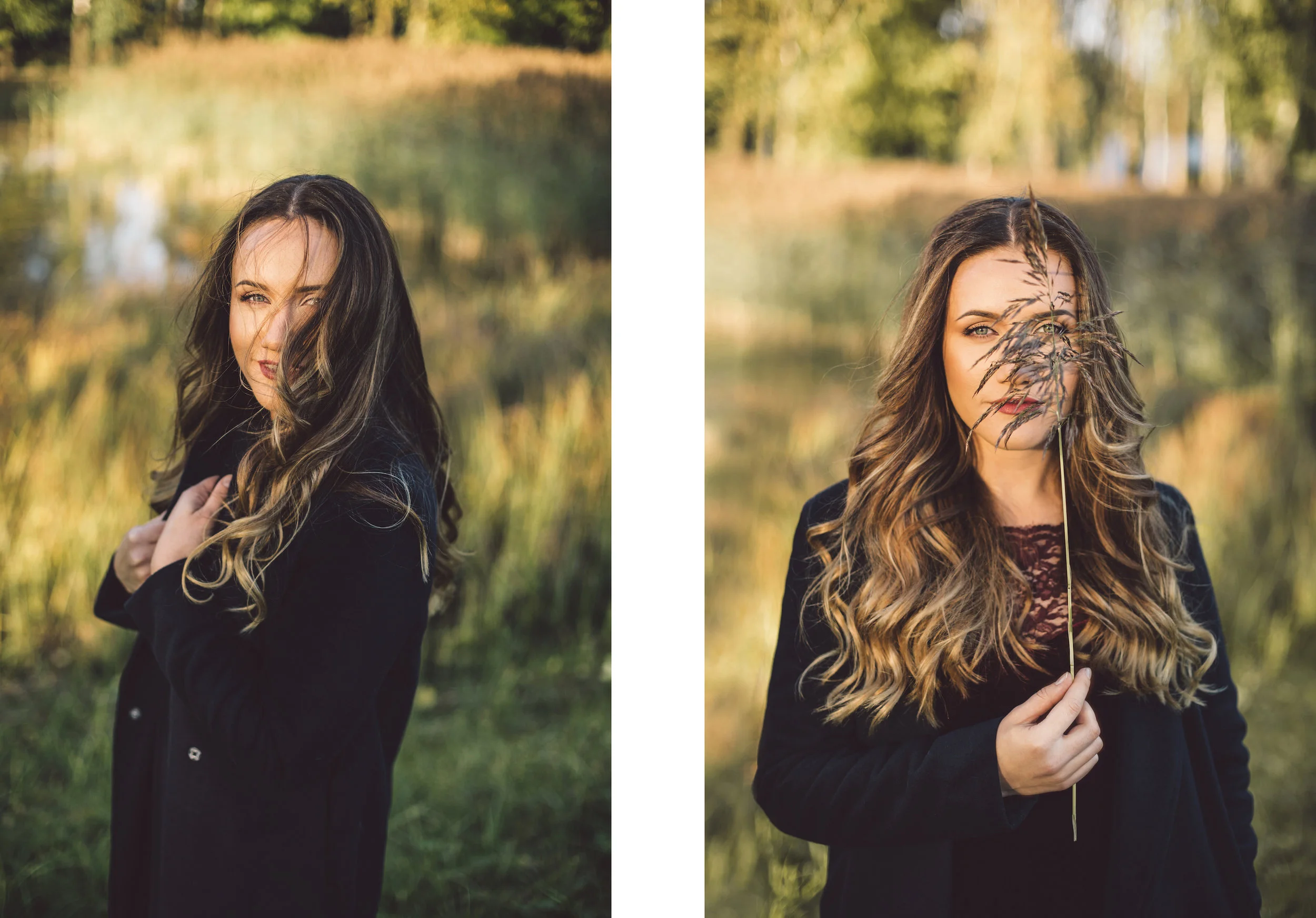diptych2.jpg