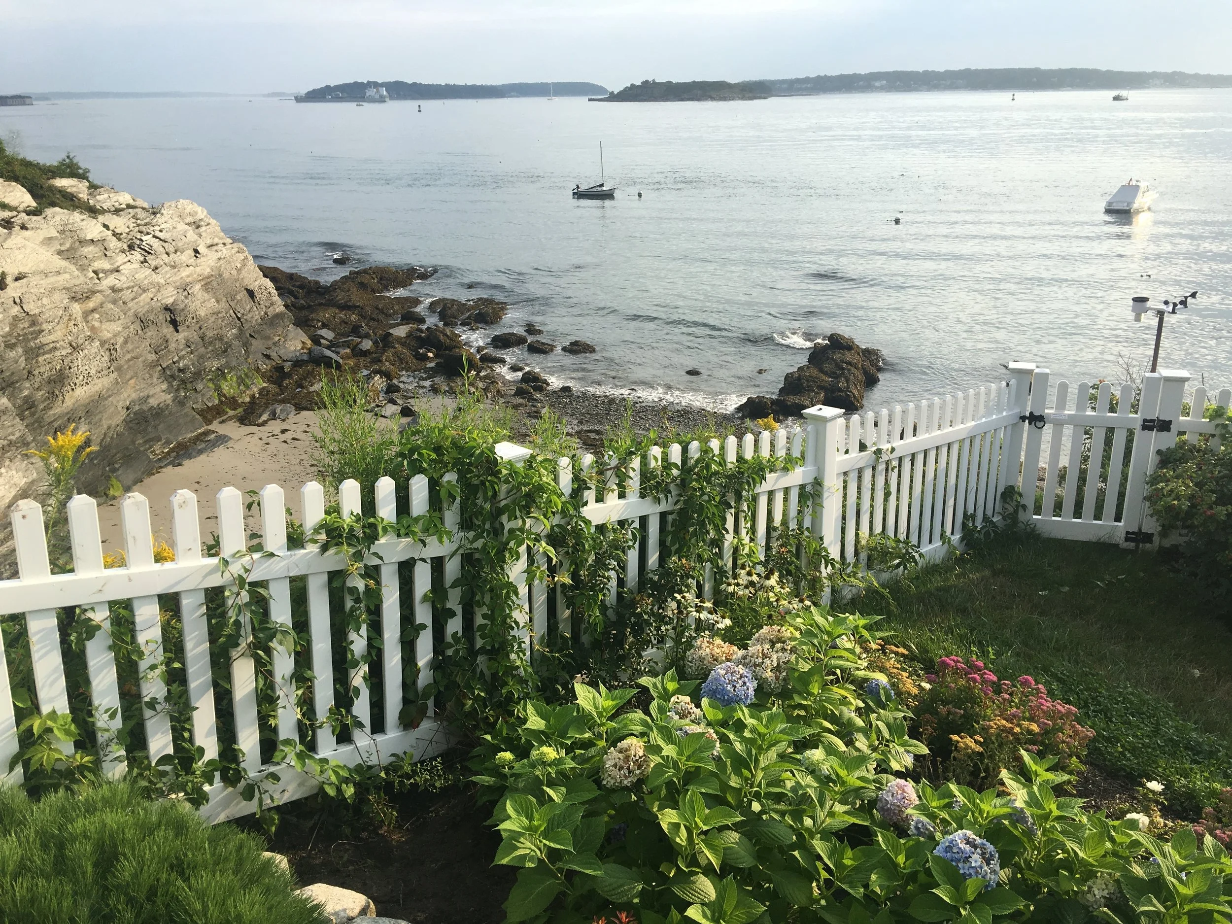 2018-08-16 07.36.44.jpg