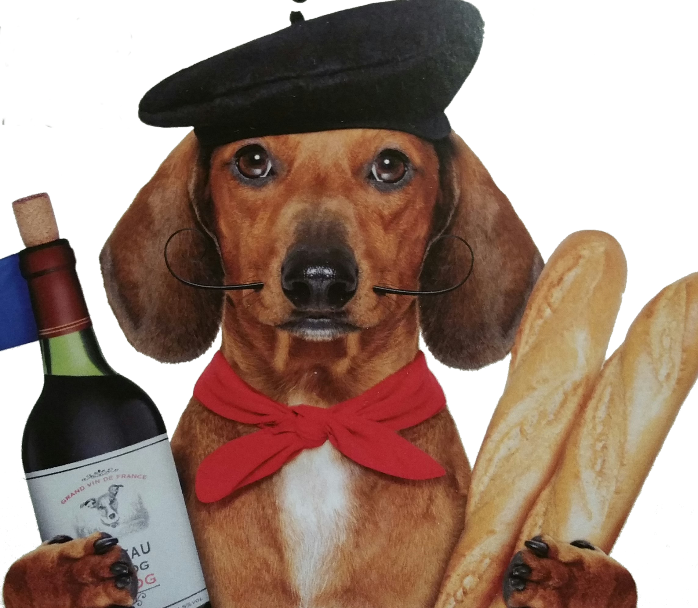 Wine and Gourmet Food Pairing