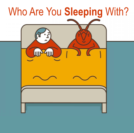 bed bugs 8 copy.png