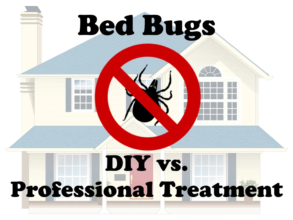 Bed Bugs: DIY Home Treatment vs. Professional Pest Control