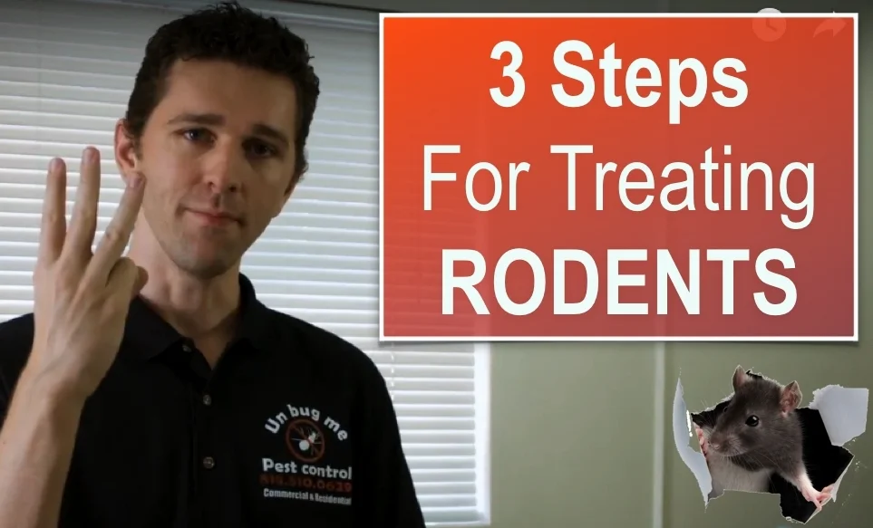 How to Get Rid of Rodents in 3 Easy Steps