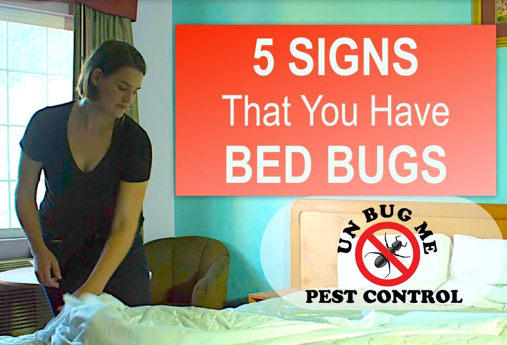 5 SIGNS You Have BED BUGS