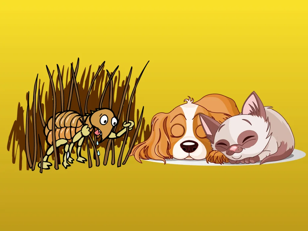 How You Can Get Fleas Without Pets
