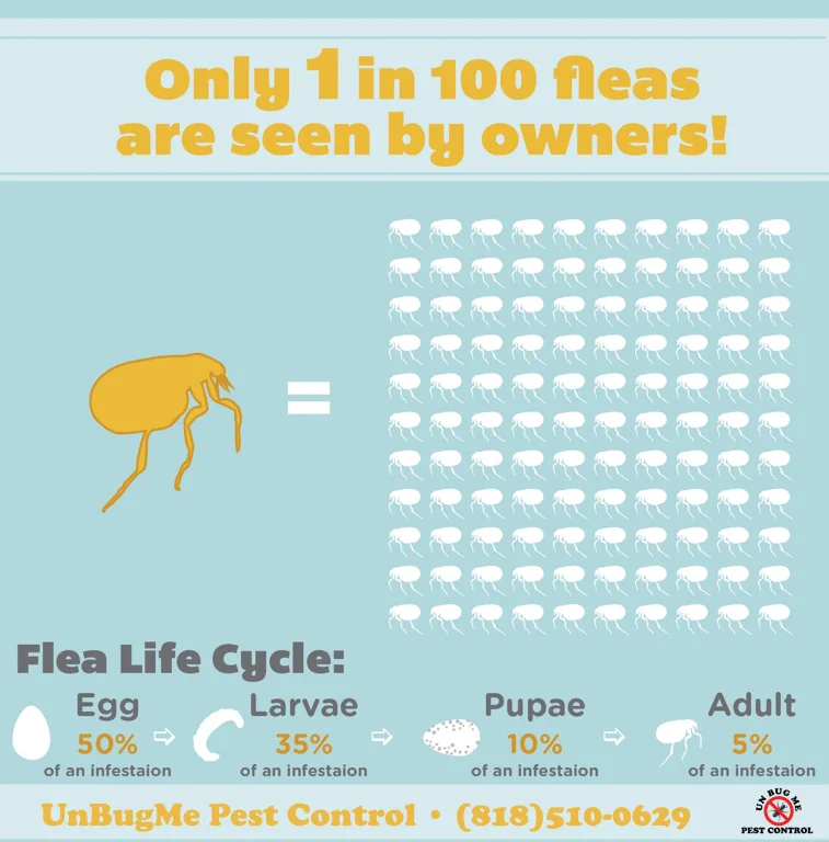 Fleas1.jpeg