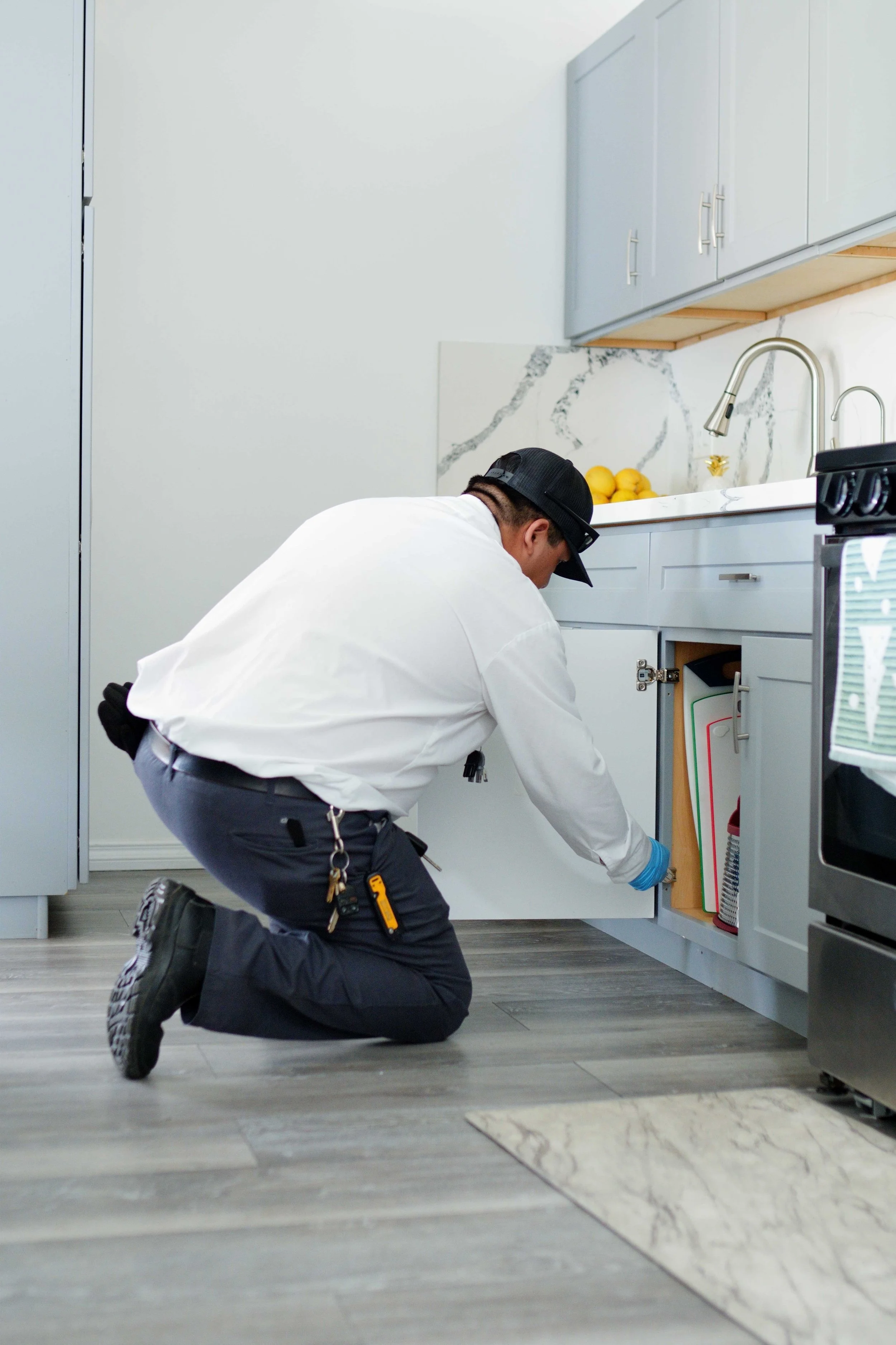 Targeted Pest Control for All Other Pests – Fast & Reliable Solutions