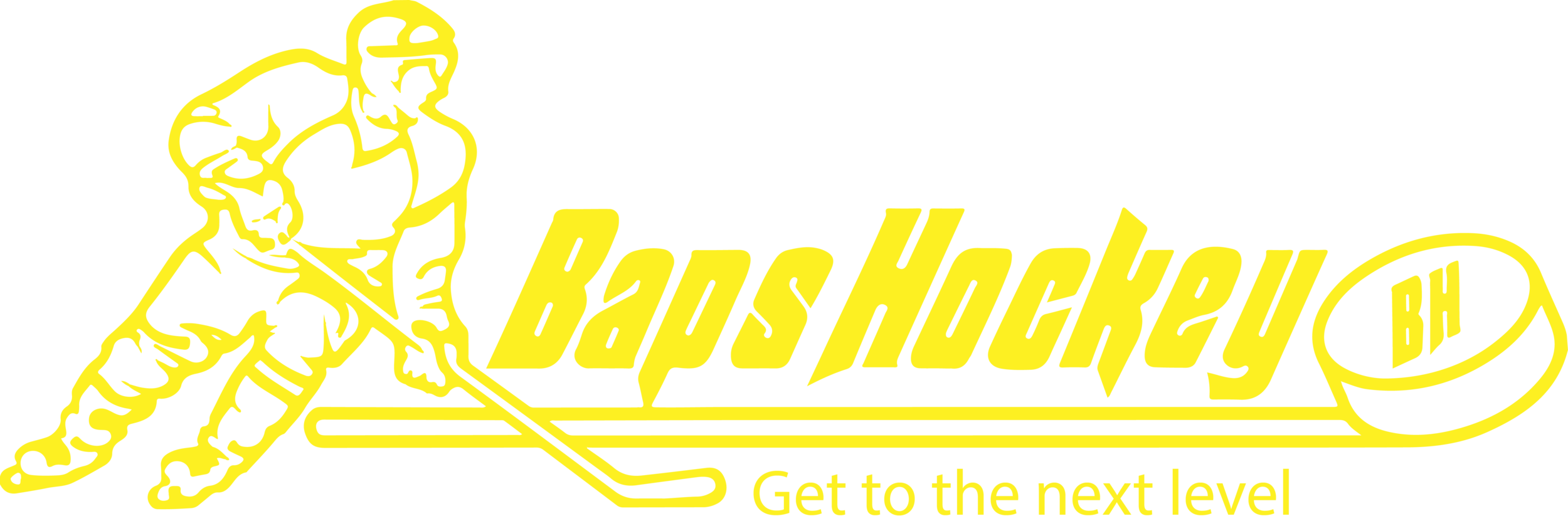 BapsHockey - Hockey Training and IQ Development 